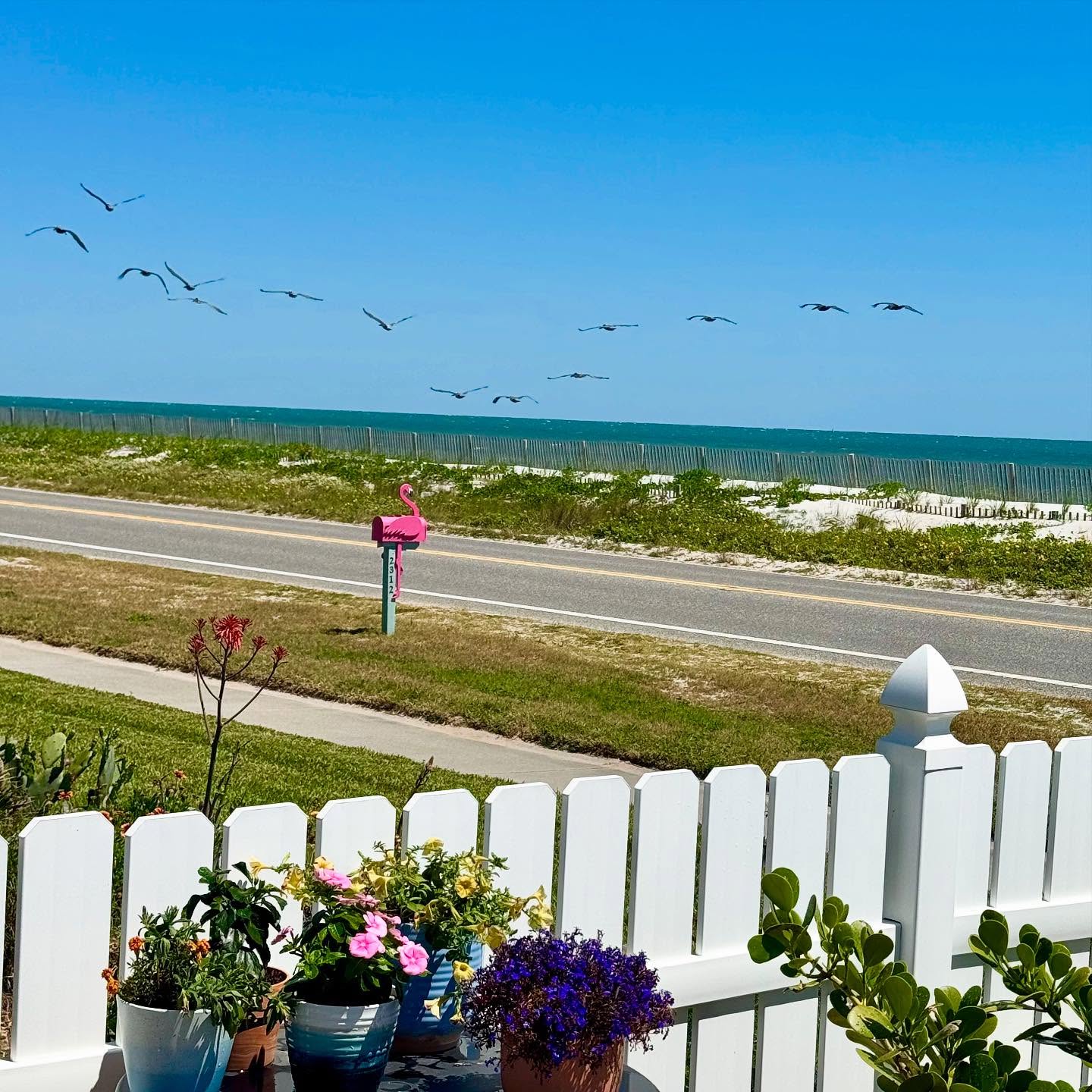 Welcome 12 Seagulls soaring, ocean roaring, and your next getaway calling. Book now for the beach escape you’ve been dreaming of.
#islandcottageinn #visitflagler #flaglerbeach #summertravel #travel #traveldestination #traveldestinations #beach #beachvacation #boutiquehotel #floridabeach #instatravel #instatraveling #travelphotography #oceanside #seaside #travelgram #boutiquehotels #sunnyday #beachvibes #poolside #spring #springescape
