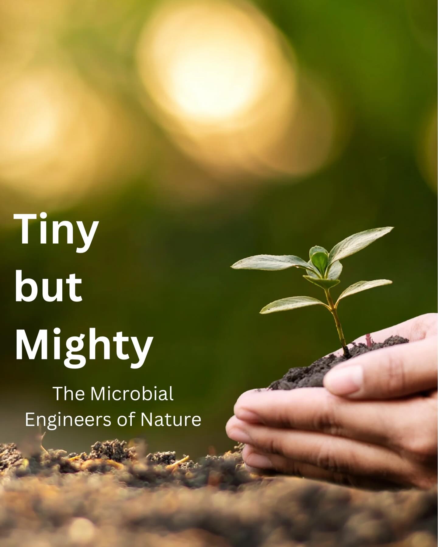 Did you know that billions of bacteria, fungi, and microscopic organisms live in the soil beneath our feet? These hidden heroes break down organic matter, cycle nutrients, and help plants grow strong!