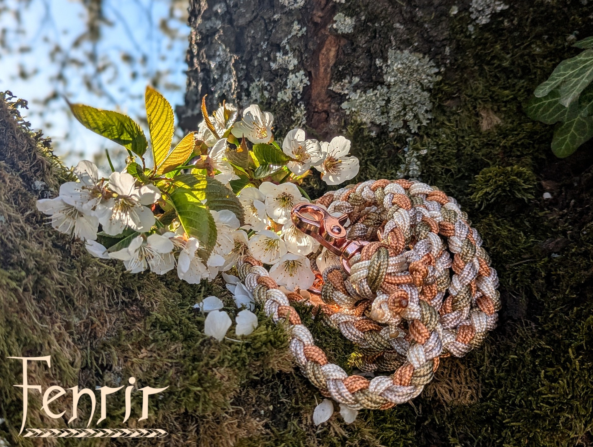 Kirschblütenzeit🌸
#hundeliebe #hundeleine #kleineHunde #paracord #rosegold #gold #beige #handmadewithlove #smallbusiness #fernirhandmade #spring #kirschblüte