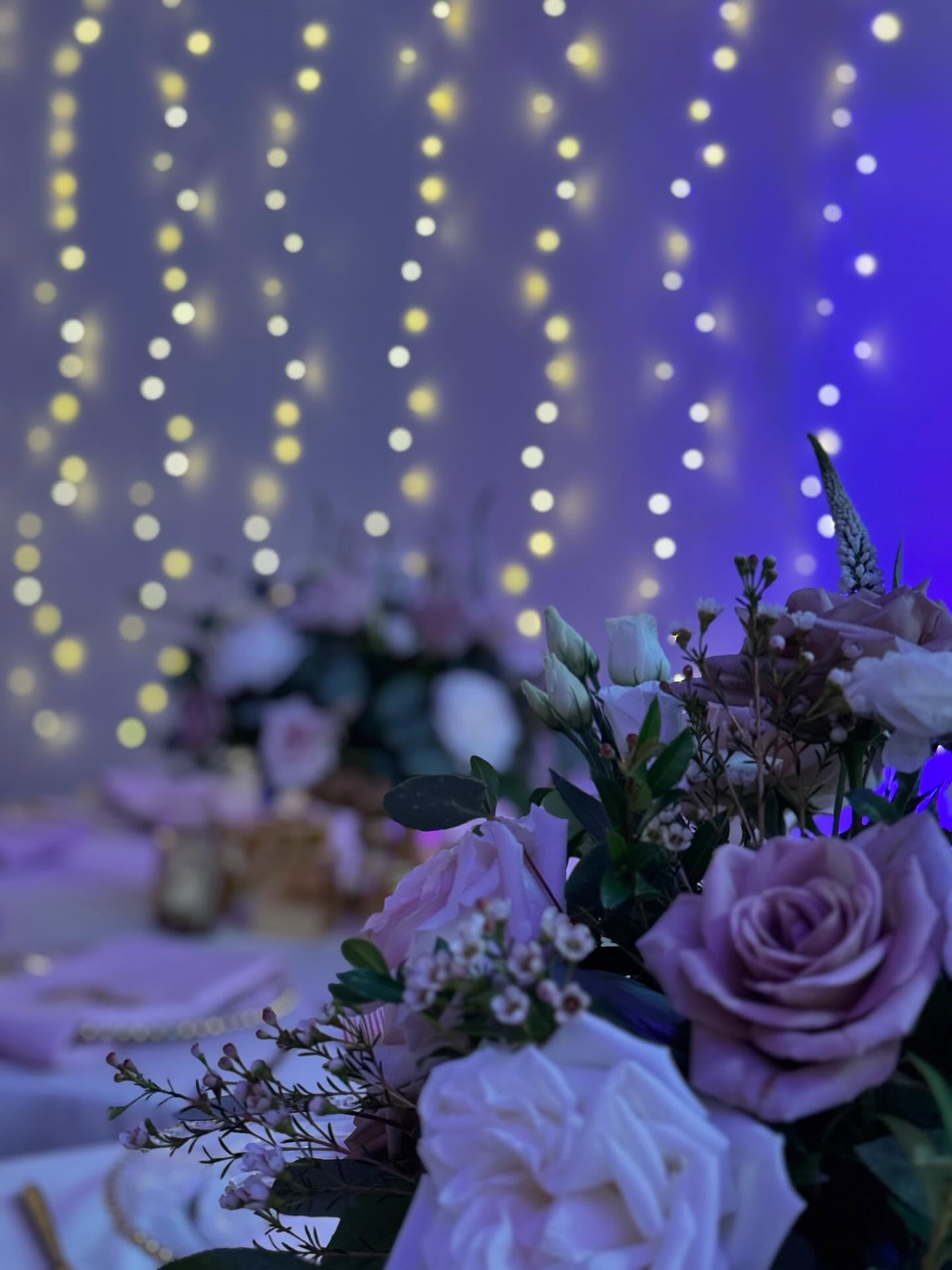 Elevate your wedding with our fairy lights! Available now. Book today!.
.
.
.
.
#tylerlightdotcom #tylerlight #uplights #led #orlandoevent #floridaevent #colorful #eventlighting #orlandodmc #corporateevent #weddinguplights #centralfloridaevent #bestleduplighting #chandelier #wedding #foodtruck #stringlight #marketlights #halloweenlighting #fairylighting