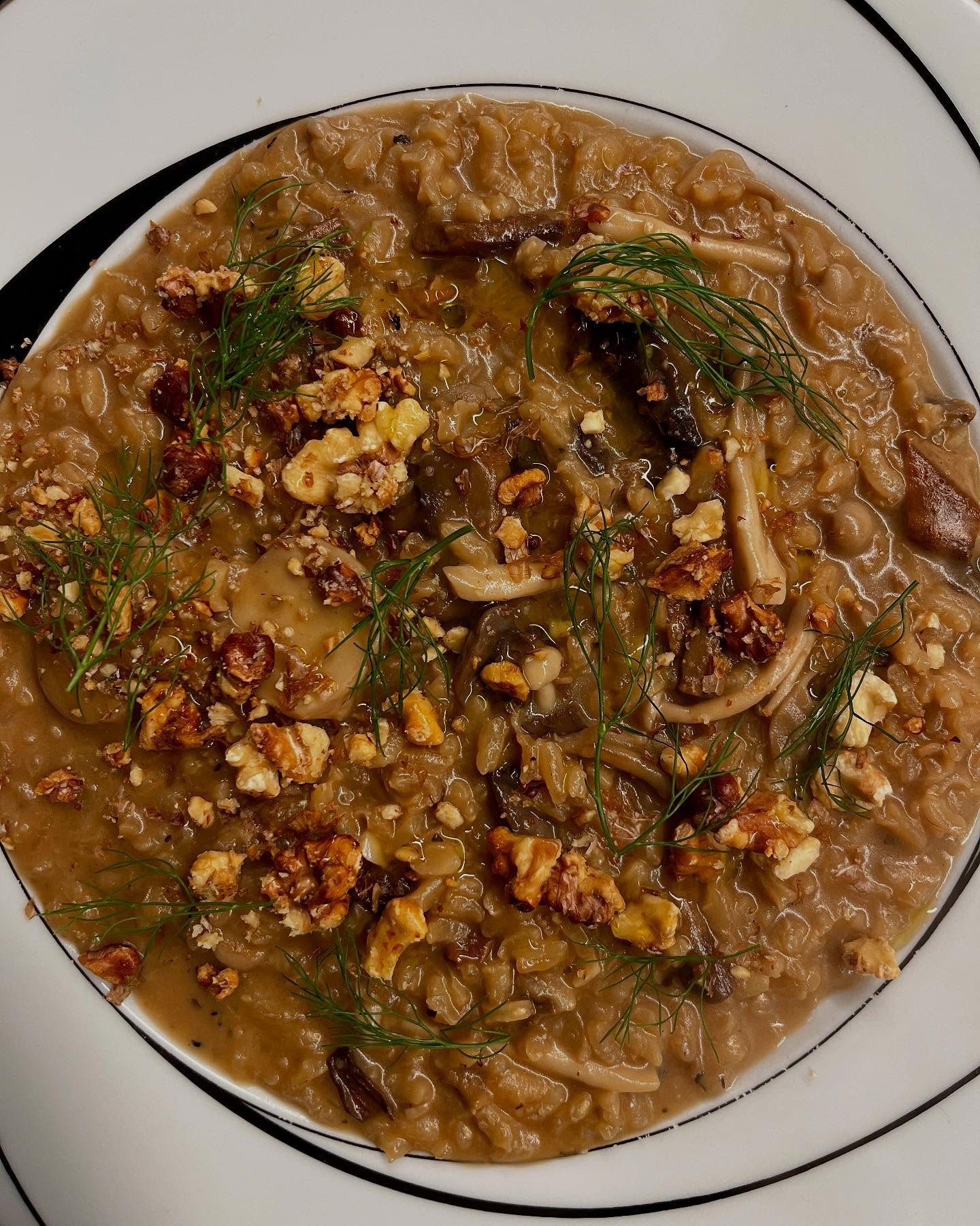If you love mushrooms as much as we do, you have to try our Risotto Funghi! It’s an explosion of flavor: porcini, trumpet, hen of the woods, enoki. Topped with toasted walnuts & fennel fronds. 🍄🟫