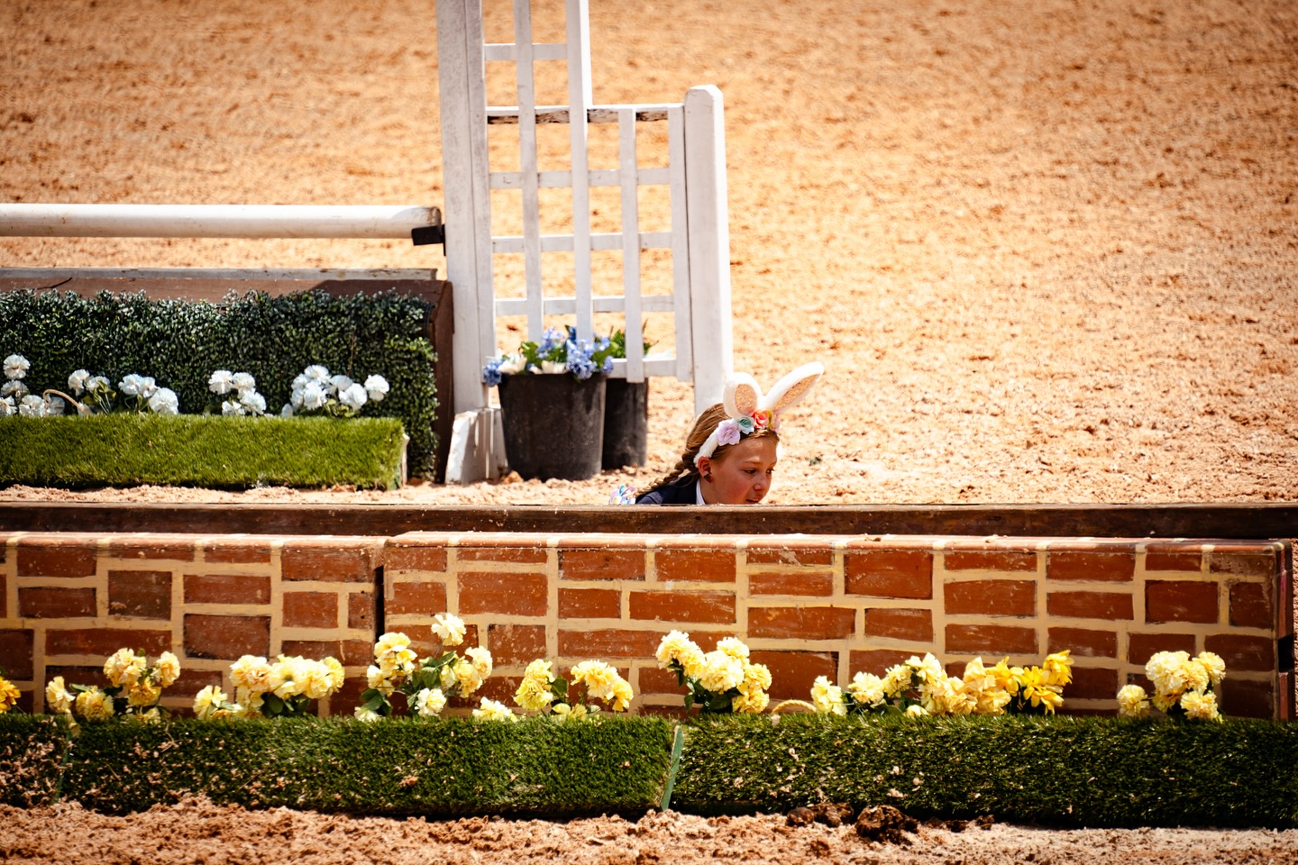 All proofs from Horse Show Ventures 2025 GIHP Season Opener have been uploaded for purchase! ⭐️
— You can view photo proofs (pony ring, beginner ring, jumper ring, main hunter ring) under the photo proofs tab on my website. Thank you for a great weekend! Please contact me if you have any questions. ☺️ https://www.maneframestudio.com/photo-proofs
© Mane Frame Studio || Rhiannon Williams
— at Wills Park Equestrian Center