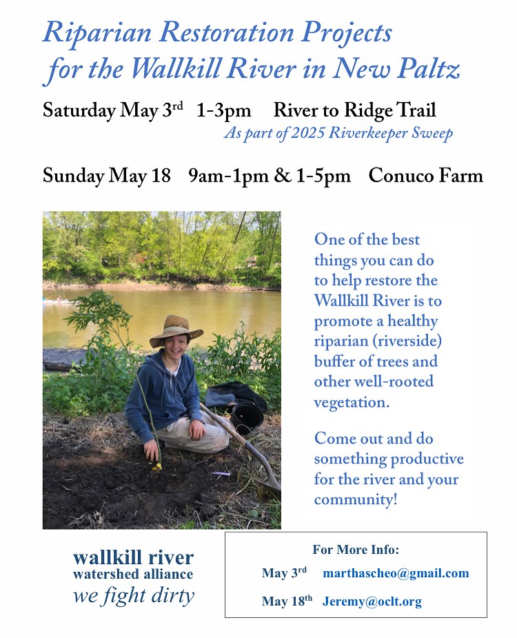 A big conservation project is happening at Conuco Farm this spring! We are finally extending the tree buffer along the Wallkill River that runs along one side of our farm.
This will prevent soil erosion - especially when there’s a flood - and it will provide food and a habitat for wildlife. Join us May 18th to help us get these trees in the ground! 🌳💚
Thank you to @ucswcd and the Trees for Tribs program for all your support!!