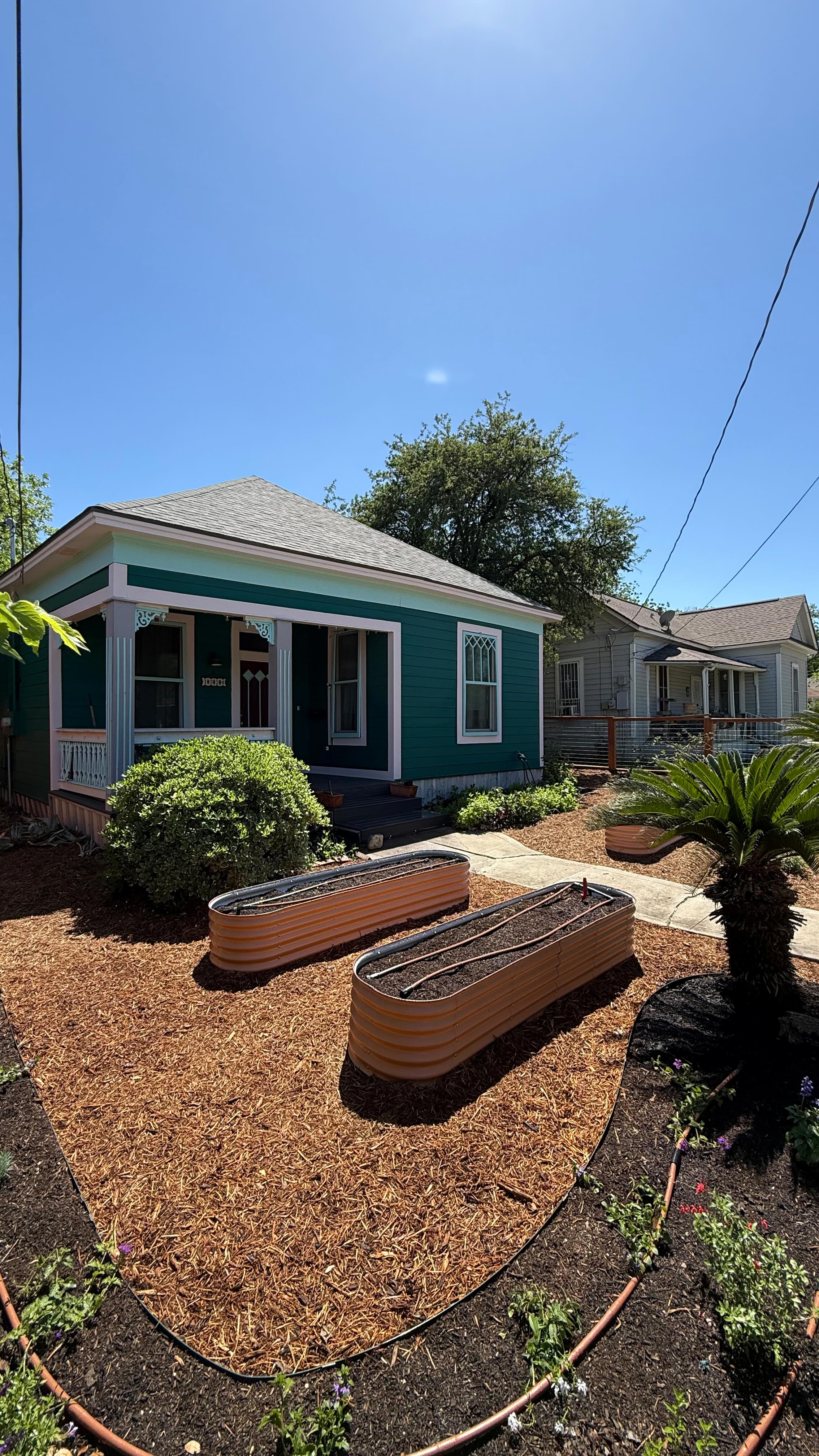 Transforming spaces, one garden at a time! 🌱 Check out this front yard raised garden install – from vision to victory garden . 💪 #LandscapeCooperative #SanAntonioGardening #SouthTexasLandscaping #RaisedGarden #TexasGardens #SATXGardeners #BeforeAndAfter #GardenGoals #LaRussellVibes #DidWhatItTook