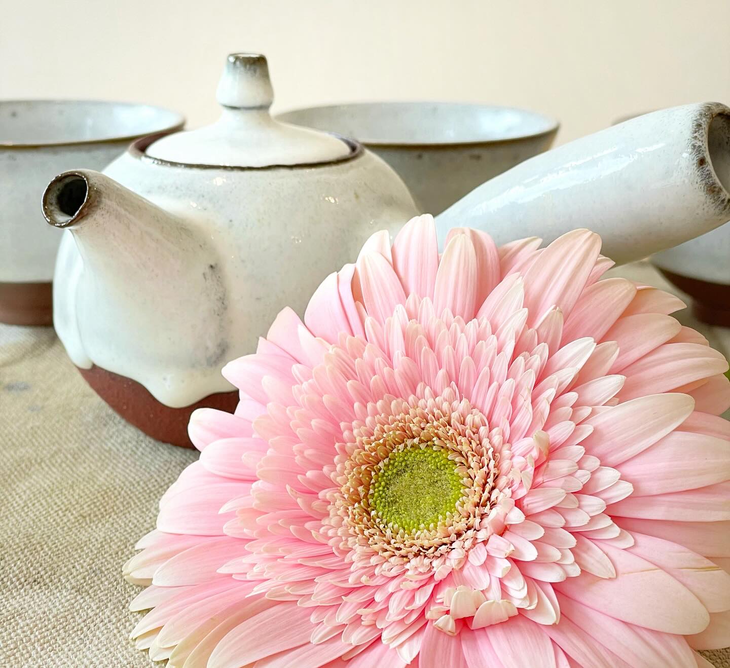join us for Tea & Meditation, a heart centered practice where we connect more deeply to the tea, to nature and ultimately to ourselves. Saturday, May 10 at 11am. Details and registration at leavesinabowl.com #silentmeditation #chadao #thewayoftea #grateful