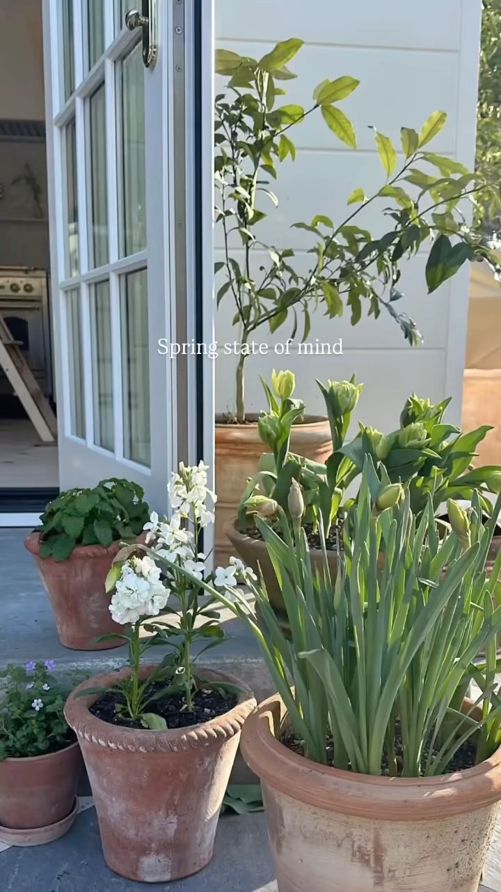 Fresh flowers, open windows, mid-60s breezes, and the start of patio season. The spring awakening is finally here!!🌱
#spring #moodboard #inspo @pinterest photos