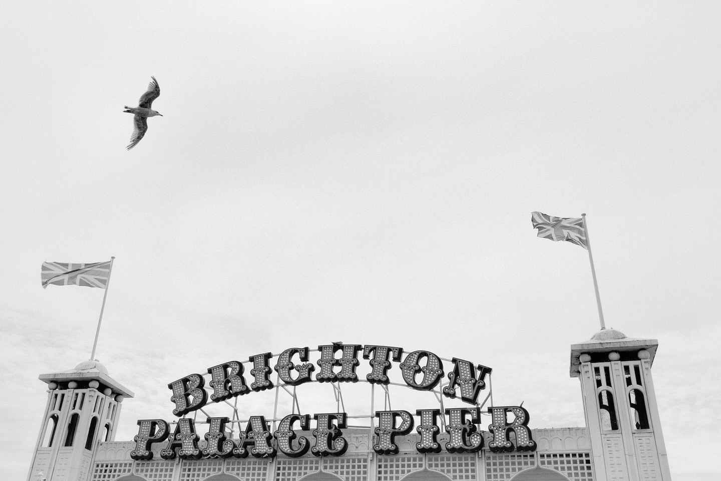 Brighton Pier Bird - Sussex by the Sea.
.
#brightonpier #sussexbythesea #brightonandhove #seasidetown #seasidejoy #blackandwhitephotography