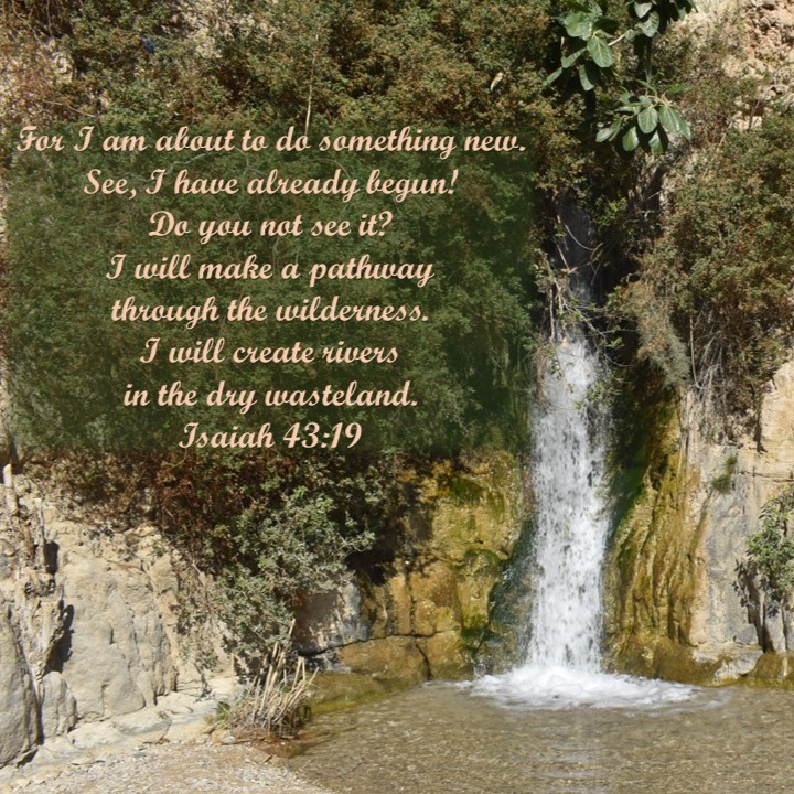 Isaiah 43:19 For I am about to do something new... I will make a pathway through the wilderness. I will create rivers in the dry wasteland.
Trust God with your future and watch Him accomplish new things in your life.