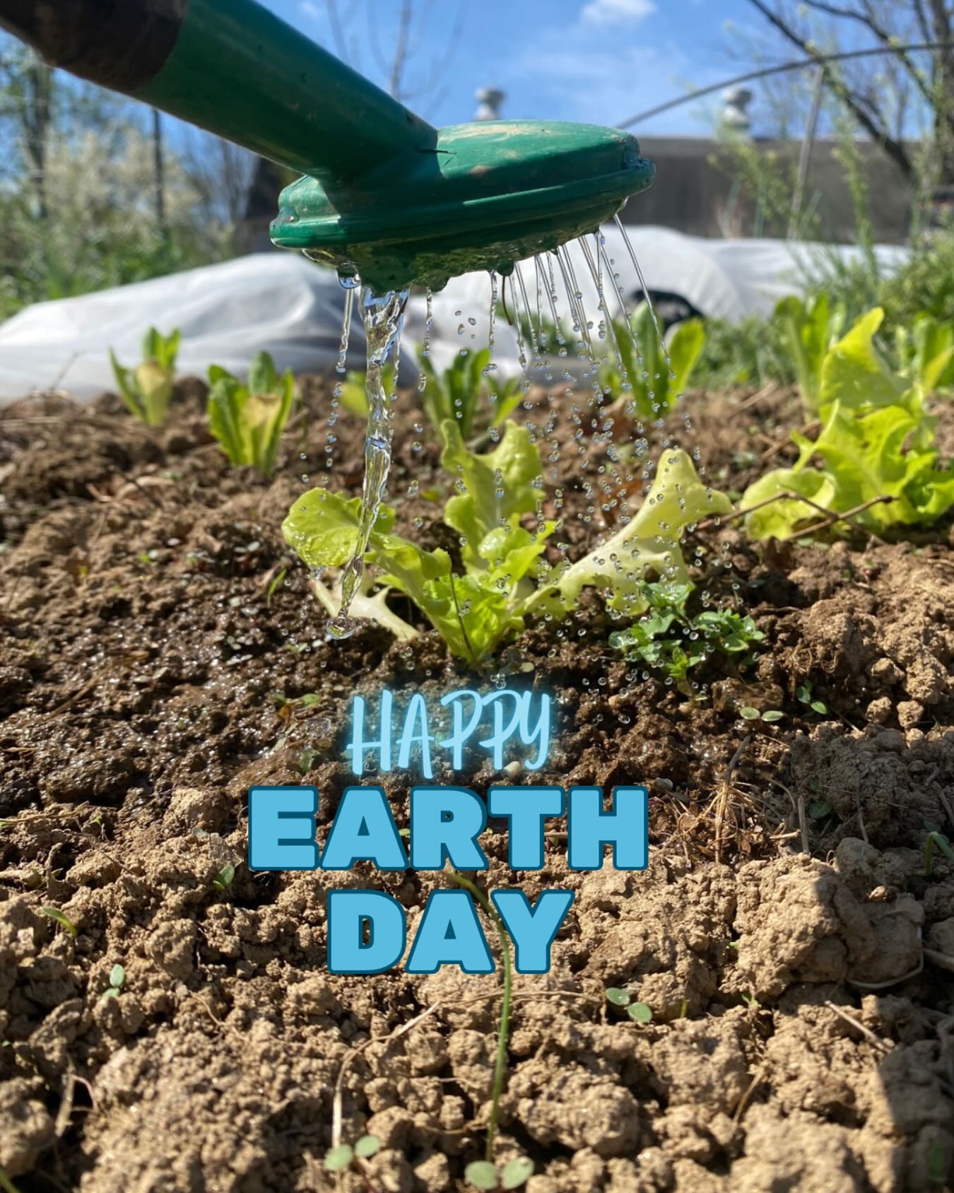 Spent the morning watering some thirsty baby plants and thanking the land for the abundance emerging in the garden!
.
.
.
.
.
#gardening #earthday #seedling #sunnysky
#foodjusticeissocialjustice