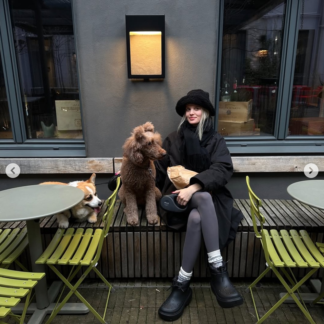 @miloleash in action at the streets of Vilnius! Spring is bringing fashion to the town again! 🐶
#vilnius #miloleash #dogleash #dogfashion #dogsofinstagram #pudel