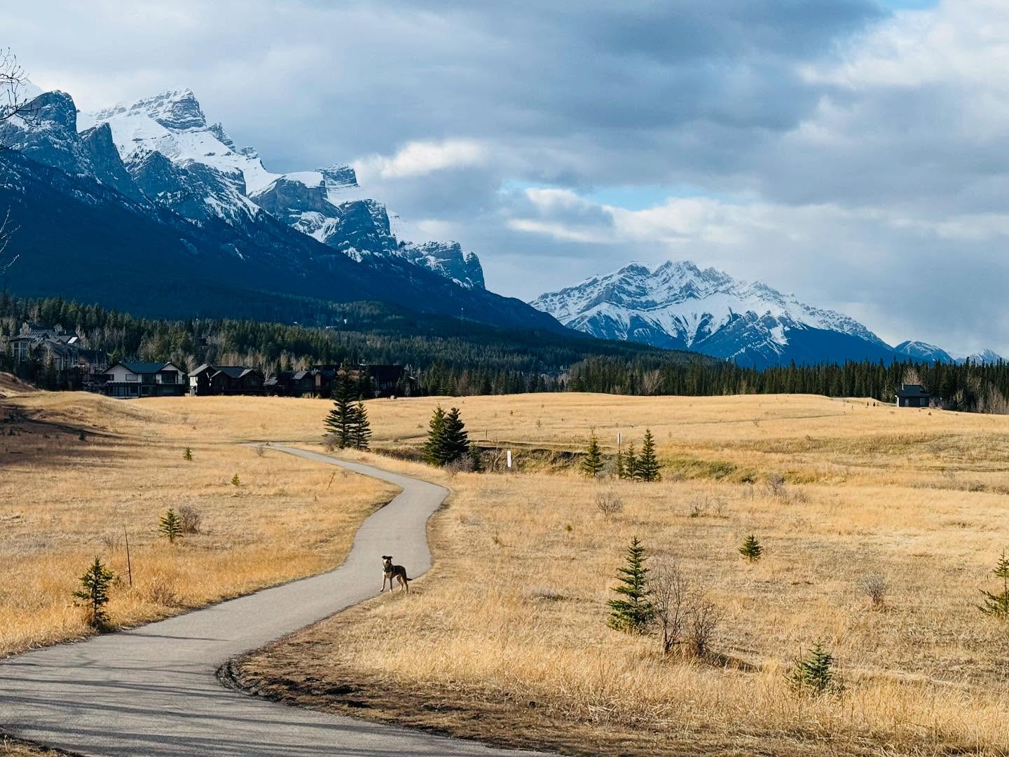 I think maybe, I am scared to write…scared to post my thoughts these days.
What happens if I post that I am unbelievably happy and that changes tomorrow?
What happens if I post that I met someone that completely takes my breath away and that someone leaves my life?
What happens if I shout out so much of my healing that has occurred just to break again?
Maybe I am realizing that it is so much easier to write about my pain with the hope of light at the end of the tunnel than to write about the sunshine with the fear of the shadows.
I haven’t written lately. I haven’t posted lately. I have been earth shatteringly happy.
So maybe this is my next step forward. The path of my healing is also about facing the sunshine. Accepting the sunshine. Knowing there may still be shadows ahead, and dancing in the sun anyways.
https://www.skysthelimit.online
#healing #happy #journey #eatpraylove❤️ #fear #sunshine #mountains #canada #canmore #solotrip #soloride #peace #heal #healthylife #life #lifejourney #dancingislife #dancingwiththestars #canadamountains #banff #rockies #dog #doglove #mygirl #mylife #shadows #fearofshadows #bebrave