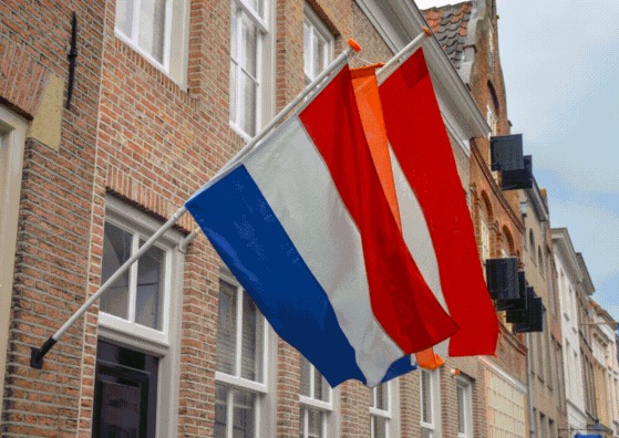 Don't forget your special discount.
Our King's Day royal discount is still valid! 👑 Don’t miss your chance to get 20% OFF on all jewelry! Our offer ends Monday, April 28th. Grab your sparkle before it’s gone!
#Kingsday2025 #DutchRoyalty #KingsdayDiscount #GemstoneJewelry #Gemstones #PreciousGems #GemstoneLovers #MinimalistJewelry #LessIsMore