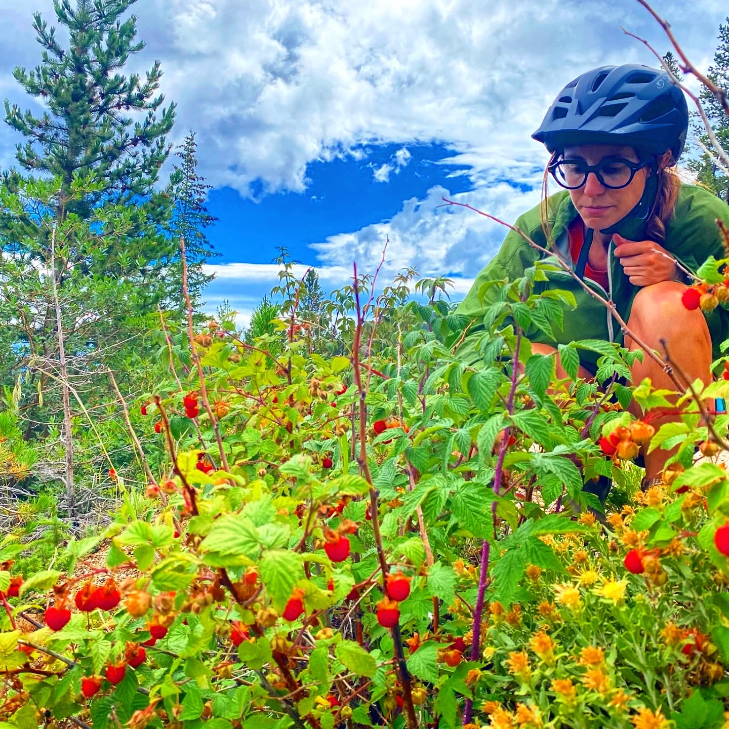 At Mountain High Bicycle Tours we always stop for berries.
#colorado #visitdenver #thingstodoindenver #denvertourism #biketouring #ebiketour