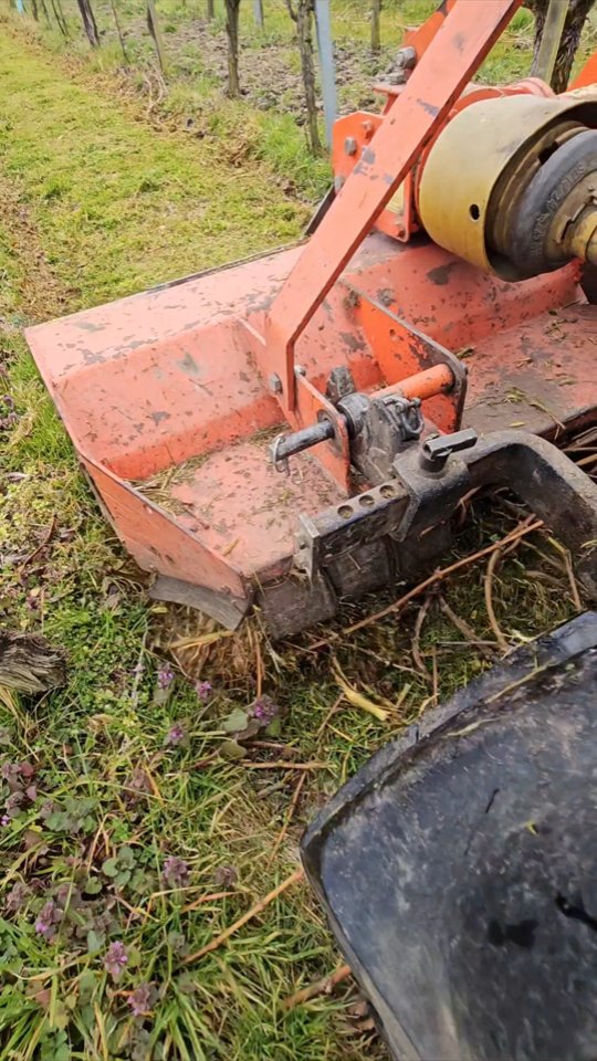 „Rebholz häckseln“
Nach dem Rebschnitt wird gehäckselt: So bleibt das Rebholz im Weinberg und wird wieder Teil des Bodens – natürliche Kreislaufwirtschaft im Weinbau.
.
.
.
#rebbau #weinberg #weinbau #weinbaubetrieb #wein
#grüningersrebbau #familienbetrieb
#triboltingen #arbeit #ermatingen #untersee #thurgau
#weinzeit #winzer #reben #bodensee #frühling #untersee #rebholz #häckseln #antoniocarraro