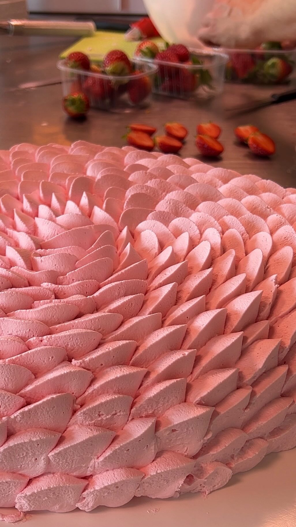 Un dolce ricordo a forma di cuore per Sofia 🩷
.
.
.
.
#bacilieri #pasticceriabacilieri #pasticceriaartigianale #fruit #panna #cuore #pandispagna