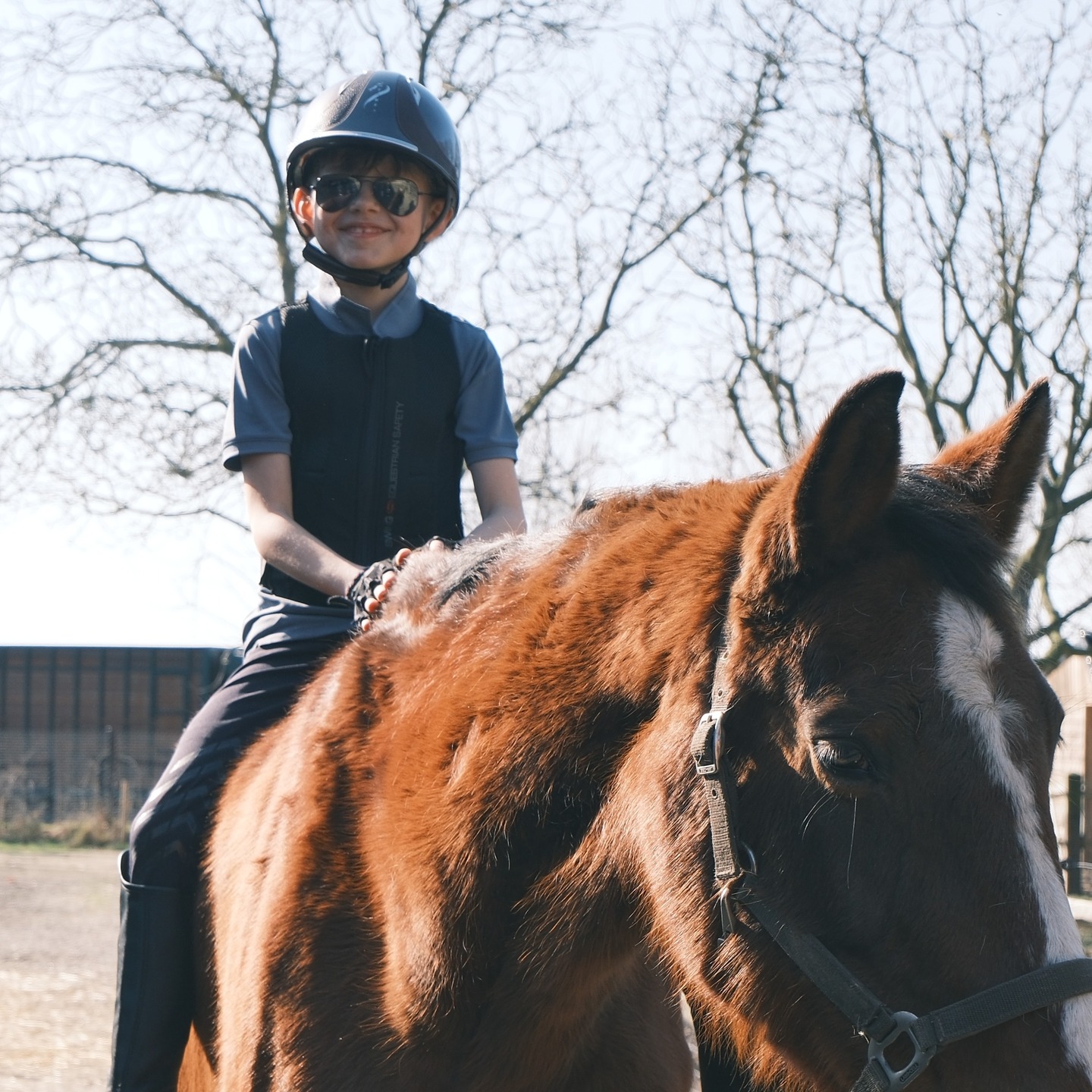 ✨
In de stilte van onze paarden ontstaat ruimte.
Ruimte voor vertrouwen, voor verbinding, voor groei.
Want wanneer een kind zich gezien en veilig voelt,
kan het weer gaan stralen. ✨
“Sometimes the best therapy has four legs and a gentle soul.” 💛
#paardencoaching #kindercoaching #veerkracht #groeieninverbinding #coachingmetpaarden #zelfvertrouwen #innerlijkekracht#mbequitalents #kids