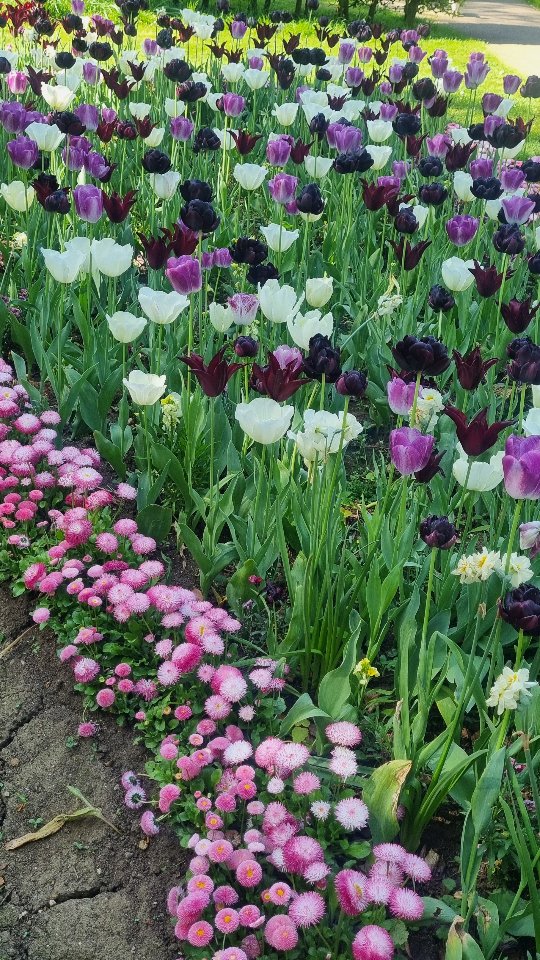 A little update on our new Summer timetable.
Longer days gives us more opportunity to practice 💫.
Summer is a great time to put good habits in place that will see you through the winter months when it's cold, dark and rainy, and so much harder to drag ourselves out of the house for class.
I'm loving that it's light for both our early and late classes right now. The perfect time to settle into a new routine 💚
𓋹 Monday - 6:15pm - Dharma Yoga - Eddie (no class for the bank holiday)
𓋹 Tuesday - 6:15pm - Vinyasa Yoga - New teacher from 10th May (more on this wonderful human soon). Next week with Eddie
𓋹 Wednesday - 7:15am - Sunrise Sadhana - Ayesha
𓋹 Wednesday - 7:30pm - Yin Yoga - Louise
𓋹 Thursday - 7:30pm - Hatha Yoga - Ayesha
𓋹 Friday - 10am - Mindful Flow - Ayesha
𓋹Sunday - 9:30am - Dharma Yoga - Ayesha
#BanburyYoga #banburytown #BanburyCommunity #banburytown #BanburyYogaStudio #banburywellbeing