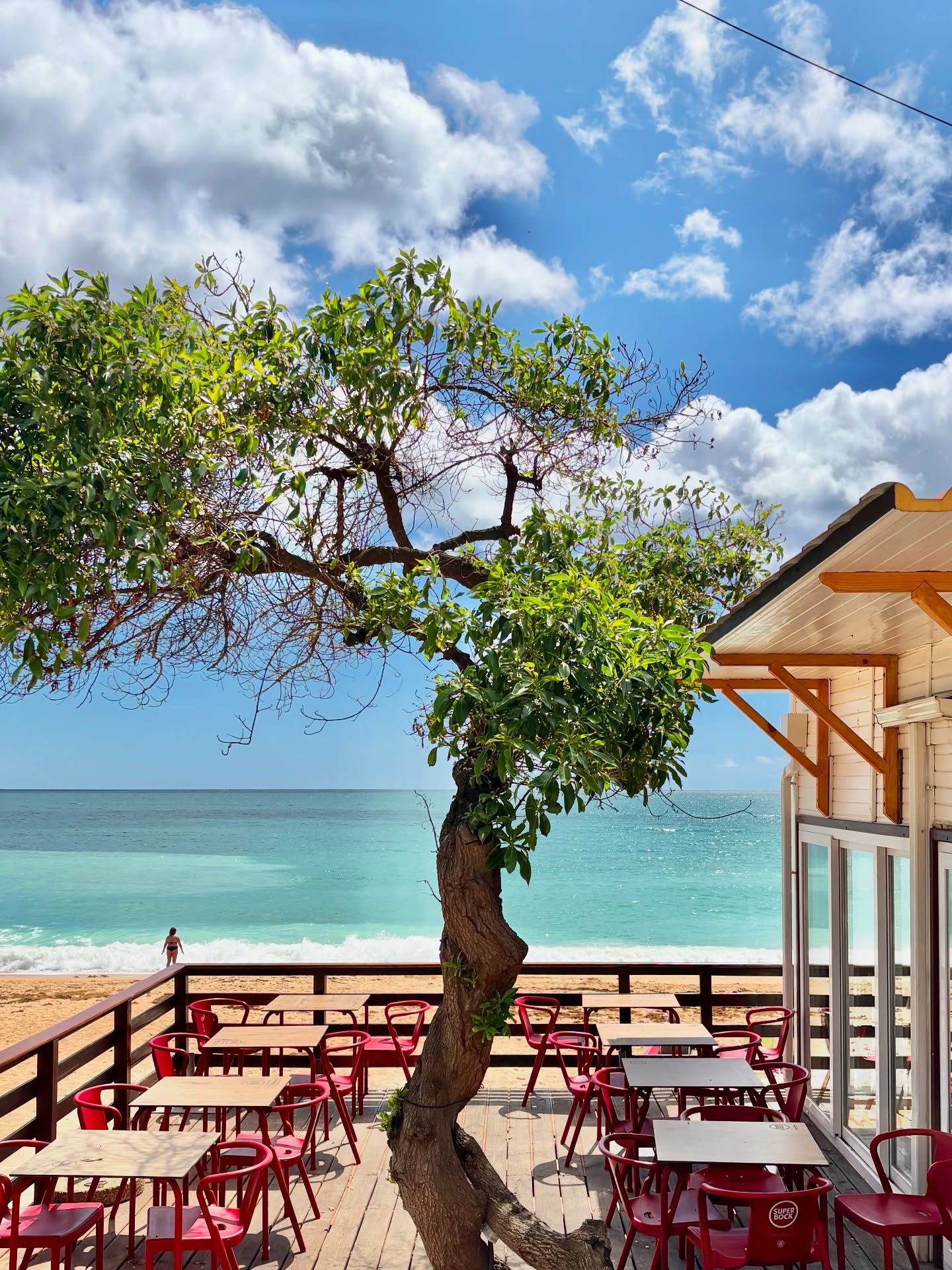 Let’s have coffee at the beach today 🌞
📍Praia do Vau
#Algarve #algarvealive #algarvebeaches #beachesofinstagram #wetravelportugal
