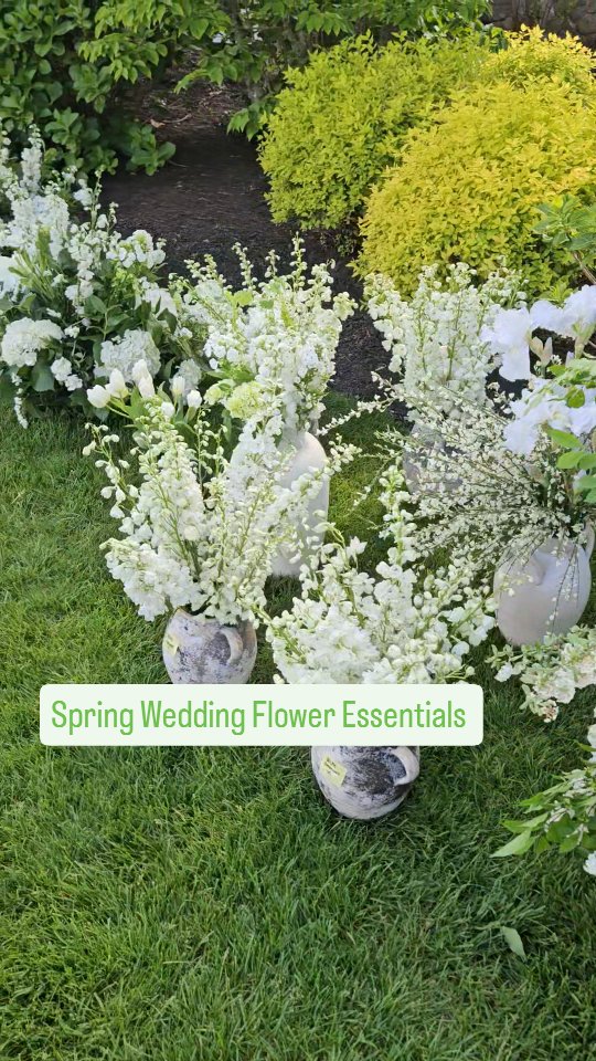 If you're dreaming of a spring wedding, don’t skip these seasonal stunners: blooming branches for airy drama, tulips and other fresh-from-the-garden bulb blooms for softness and charm, and that unmistakable bright spring green that brings everything to life. ✨
These elements add movement, texture, and that fresh-picked feeling that makes spring florals so special.
💐 What's your favorite spring bloom?
.
Planner: @jyldeering
Venue: @wequasset