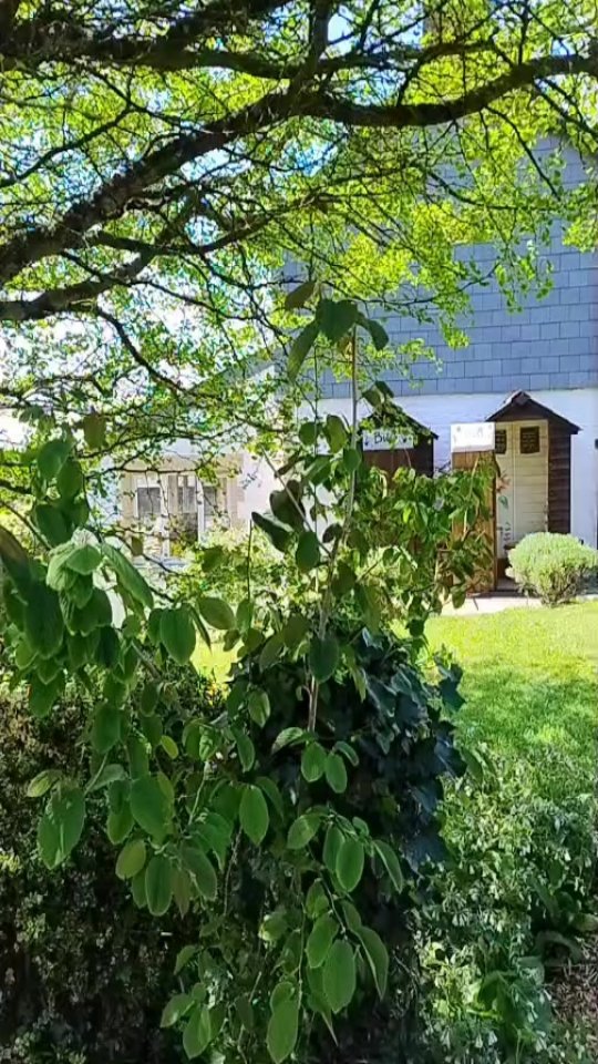 Spring has Sprung here @thegreenhousesparetreat
Welcome to visit for Glamping stays, spa treatments, TRE and Retreats.
We look forward to welcoming you soon
Take care and enjoy Springs blooms 💚