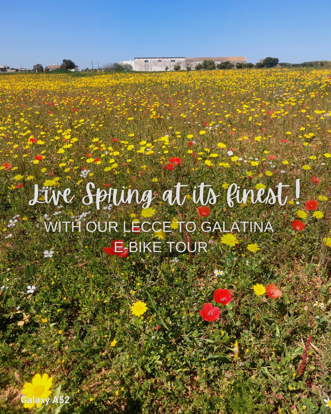 🌼 Live Spring at its finest!
With our Lecce to Galatina E-Bike Tour, you get much more than just a ride.
This experience blends nature, culture, and local life in the most authentic way.
We cycle through blooming fields and peaceful backroads, meeting goats, locals, and hidden gems along the way. 🐐🚴♂️
From discovering ancient olive oil mills, to entering historic palaces and tasting pasticciotto where it was born — every stop holds a story.
Spring is the perfect moment: the fields are full of color, the air is fresh, and the light is just magical. 🌸✨
🚲 Whether you're a culture lover, nature explorer or just curious to slow down and connect — this tour is for you.
📍 Lecce to Galatina | Easy-level | E-bikes included
DM us or check the link in bio to join the next ride!
🌿 Real people. Real places. On two wheels.
#pugliabikeexperience #leccebiketour #pugliabikerental #cyclinginpuglia #publiabiketours #hikingpuglia #luxurytravelitaly #leccebikerental #pugliahikingtour #pugliabiketour #pugliaadventures
