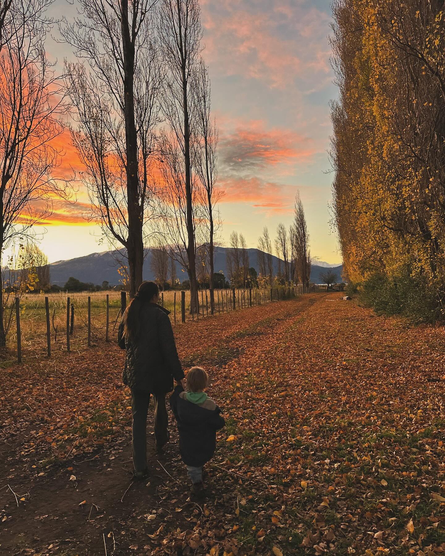 Intense skies and sunsets. Autumn leaves painting the paths in gold. The last apples gifted to us by this autumn