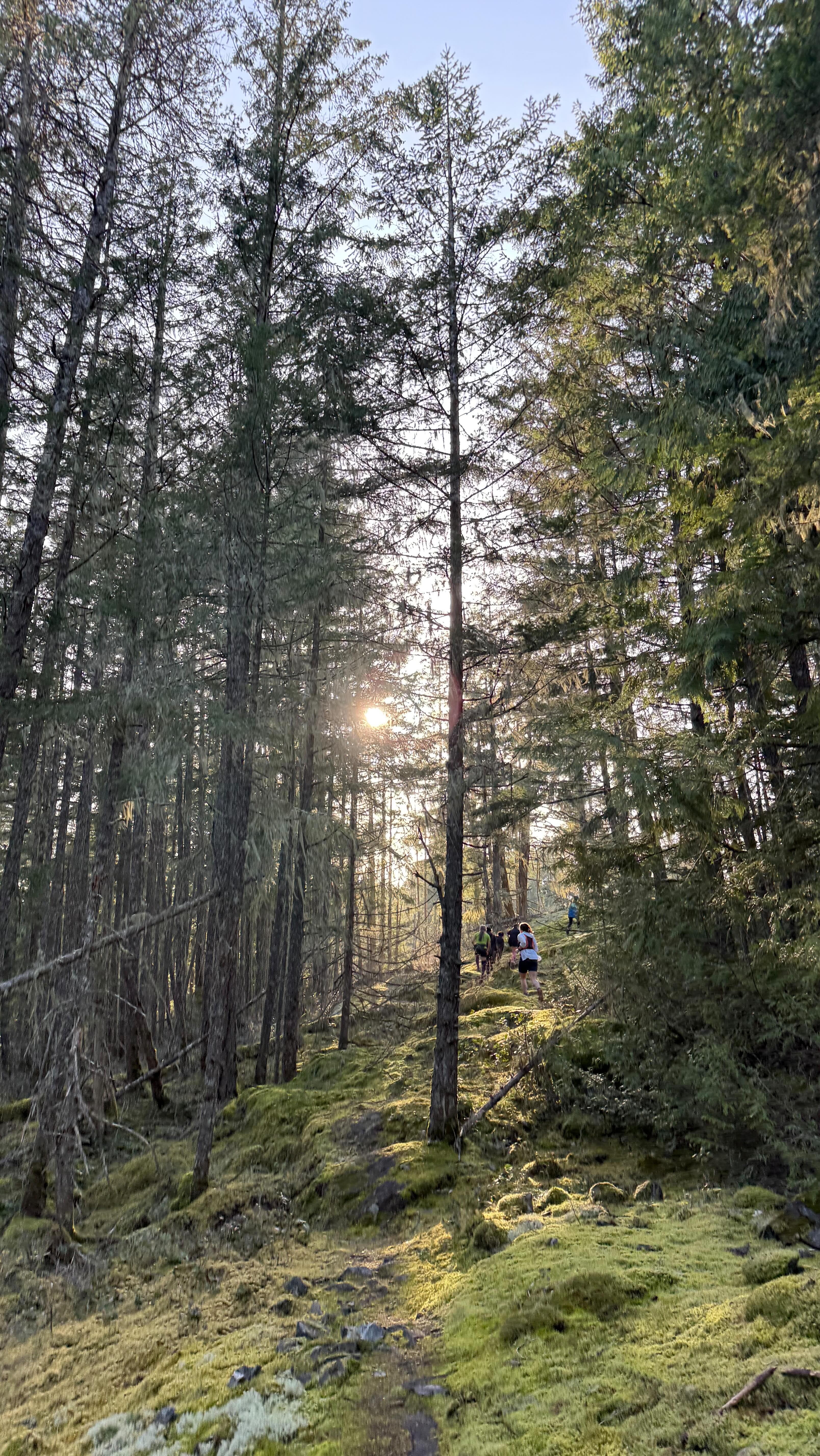 Hello Spring 🏃🏻♀️💐☀️✨
It finally feels like we’re turning the corner into sunnier, warmer, longer days here in the PNW! We just wrapped up an amazing Spring into Trails clinic session with 18 stellar humans here on the @sunshinecoastbc! It was excellent to see everyone gain confidence, strength and stamina on the trails in just 4 short weeks!!
Stoked to be hosting a second round of spring trail clinic, focused on practicing those trail skillz each week as various beautiful locations around the Coast! Join us, Thursday’s 545pm starting April 24th for our Skillz Nights clinic! For more info, head to the link in our bio!
Happy Trails!!
#trails #trailrunning #happiness #running #spring #clinic #trailclinic #coaching #strength #speed #stamina