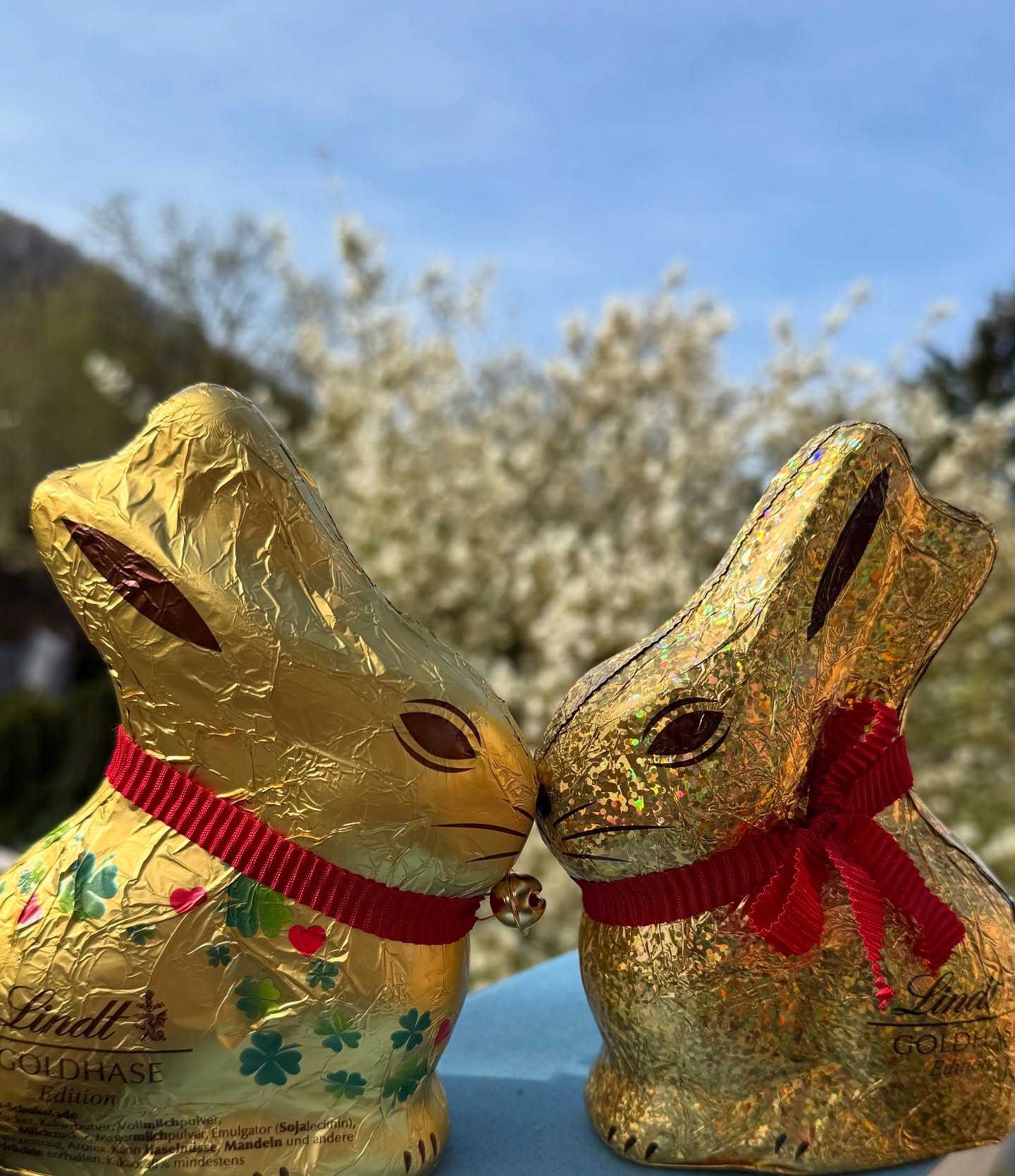 Frohe Ostern, ihr Lieben!
Ob verlobt, verheiratet oder einfach verliebt ins Leben – genießt die Feiertage, tanzt mit dem Frühling und feiert die Liebe (und die Schokolade natürlich auch).
🌸💍🍫🐣❤️🌷
Wie verbringt ihr die Ostertage?