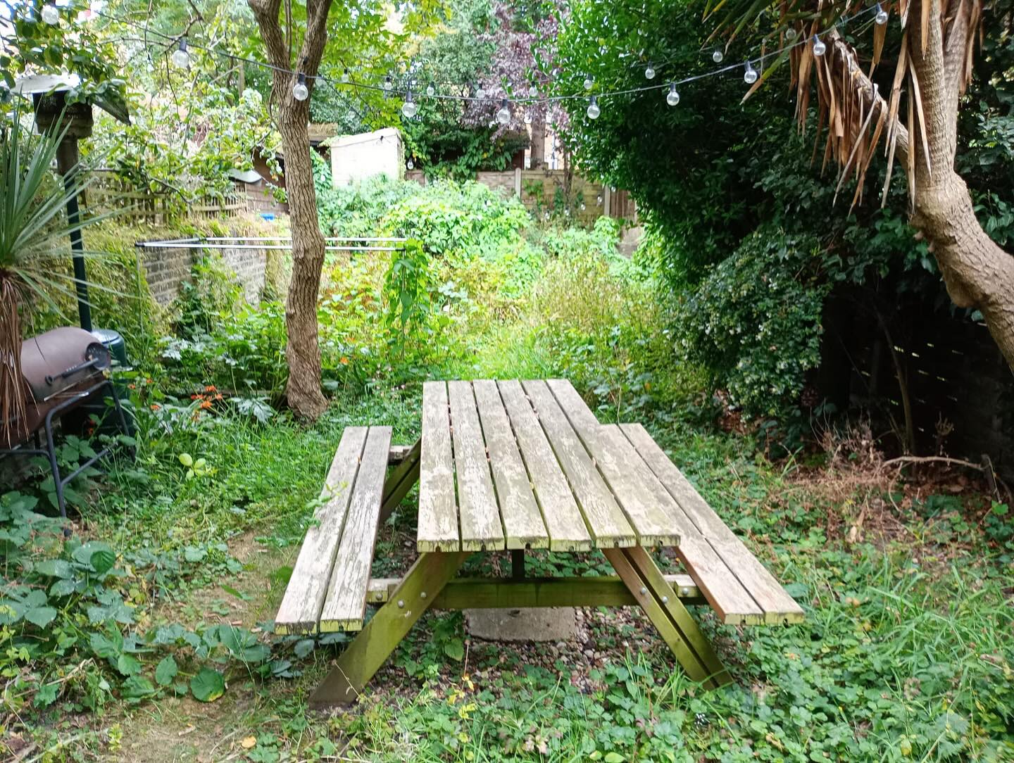 Who knew there was this beautiful garden hidden under all this undergrowth! Thanks to Lucas and Jude for laying the gravel and to the @stokey.gardener for the planting . Can’t wait to see it when the plants become established . #wildlifegarden #gravelgarden #gardenmakeover #replacingthegrass #londonchilloutgarden