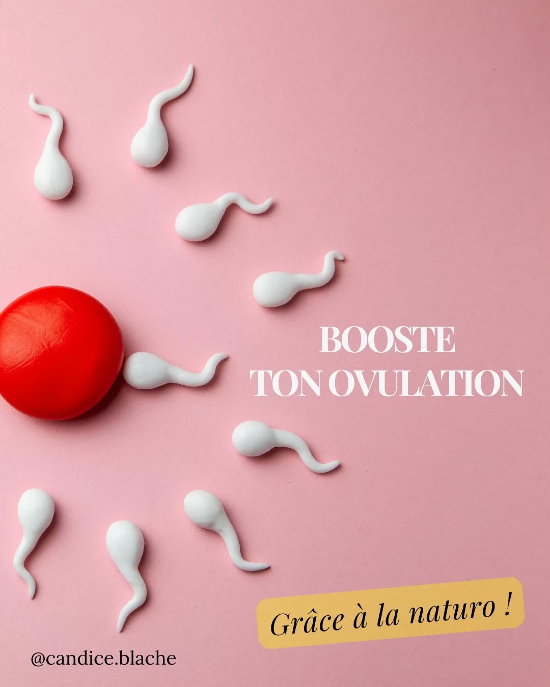 ⬇️⬇️⬇️⬇️ + D'INFOS
..
Tu es concernée par ses soucis ?
Tu arrives à voir ton ovulation ?
Tu savais qu'une belle ovulation prévient ton spm?
Dis moi tout en commentaire 📝
..
Commente OVULATION pour recevoir quelques conseils en plus 🎁🎁
..
Je suis Candice, Naturopathe et Doula.
Je t'aide à retrouver la pleine santé 🌿
Pour rappel : prise de rdv possible (voir bio) pour t'accompagner sur ce chemin 💪
..
#ovulation #fertilite #plantes #phyto #fertilite #conception #spm #cycleirrégulier #cyclefeminin #thyroïde #troubleducycle #cyclemenstruel #regles #endometriose #sopk #hypothyroidie #naturopathie #sante #santenaturelle #doula #douladesfamilles