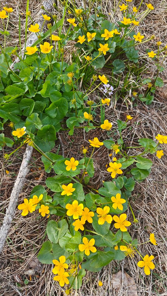Un día en un camping
.
.
#campingensuiza #campingvorauen #switzerland🇨🇭 #lavidareal