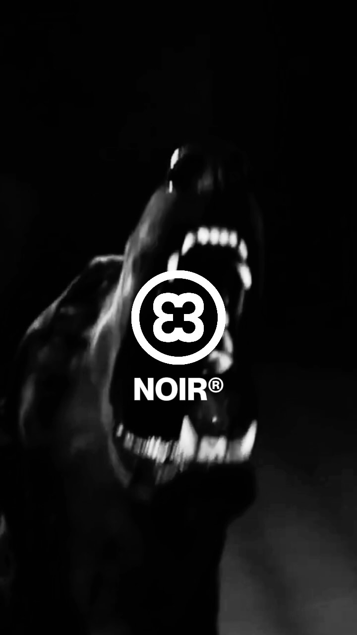 NOIR®
L'icône. Le premier. Le commencement.
Toutes les marques ont un noyau — voici le nôtre.
🖤 Maintenant sur vinylacy.com
À qui l'offririez-vous ?