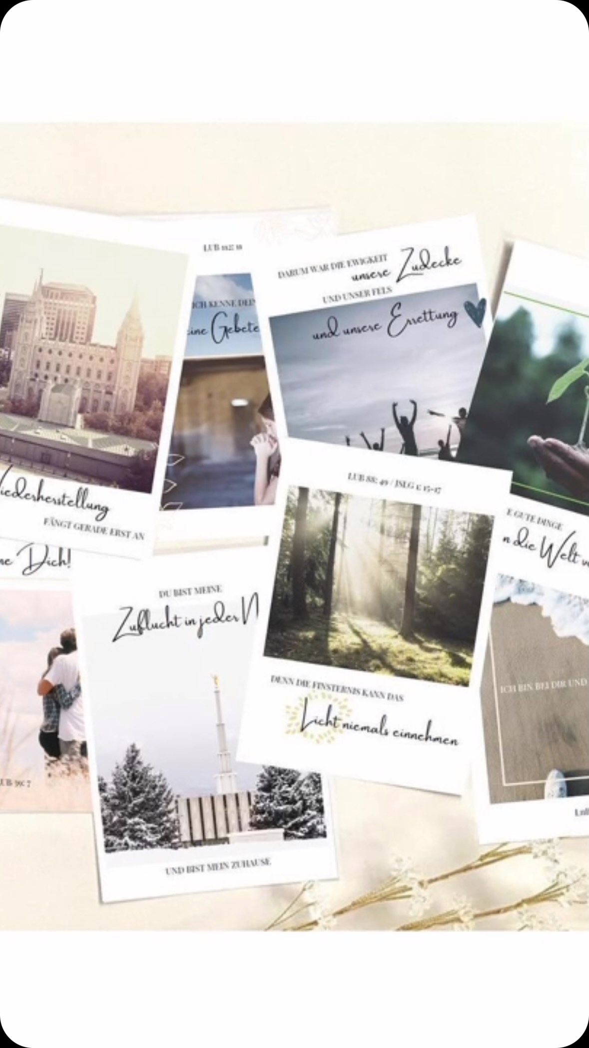 🤍🌿🖊️ wer ist noch im Team Postkartenschreiben?