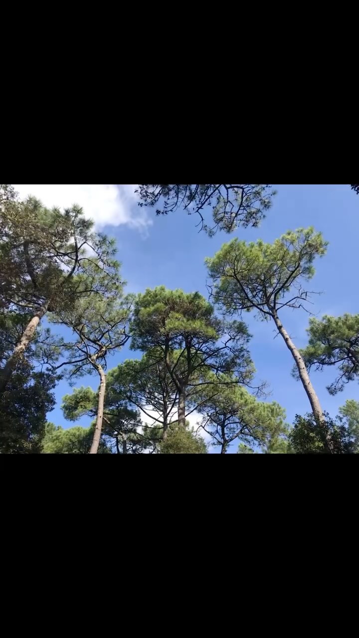 🌿✨ Quand la nature inspire… ✨🌿
Entre terre et mer, entre lumière et matière… 🌊🌾 Chaque bijou que je crée naît d’une émotion, d’un détail capté dans la nature qui m’entoure. 🌿💍
Laissez-vous porter par ces instants suspendus, au son des oiseaux et du vent… 🍃🎶
🌿 Et vous, quelle est votre source d’inspiration au quotidien ? 💫
#natureetcréation #bijouxartisanaux #aaitmainavecpassion #ateliercréatif #argent925 #lepouliguen #SlowJewelry #bijoux #artisanat #artisane #faitmain #handmadewithlove #labaule #loireatlantique #presquilguerandaise #cotedamour #faitenfrance #bijouxcreateur