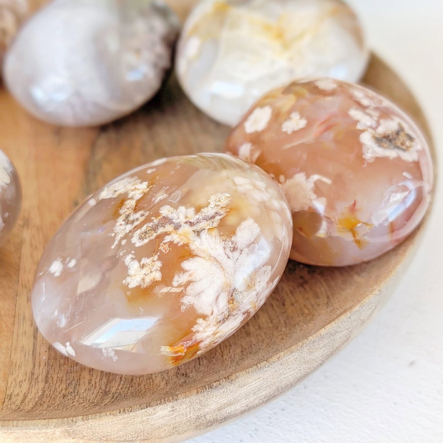 Agata Flor para meditação 🌸
A Agata Flor tem uma energia muito reconfortante. Remete-nos para o amor materno e divino. Envolve-nos numa esfera de paz e bem-estar. Faz-nos olhar a vida com um sorriso e atrair vibrações de amor. Ilumina a alma e os dias que parecem ser menos bons. Nas relações estabelece harmonia. Também trata a nossa criança interior.
É maravilhosa não é? 🥰✨
Disponível na tua loja favorita 💞 www.jami.pt
#cheryblossom
#cristaisnaturais
#pedrasnaturais
#agataflor
#cristaloterapia
#curacomcistais
#energiaespiritual
#espiritualidade
#minerais
#gemasnaturais
#colecionadoresdepedras
#cristaisholistico
#cristaisparavida
#pedrasemcuras
#joiasnaturais
#cristaisdobem
#podernatural
#agatabranca
#agatainspiradora
#mineraisraros
#pedrasboasenergias
#vibespositivas
#terapiacristalina
#cristaisportugal
#mineralspecimens
#pedrasesotéricas
#cristaissignificados
#agatabonita
#cristaislindos