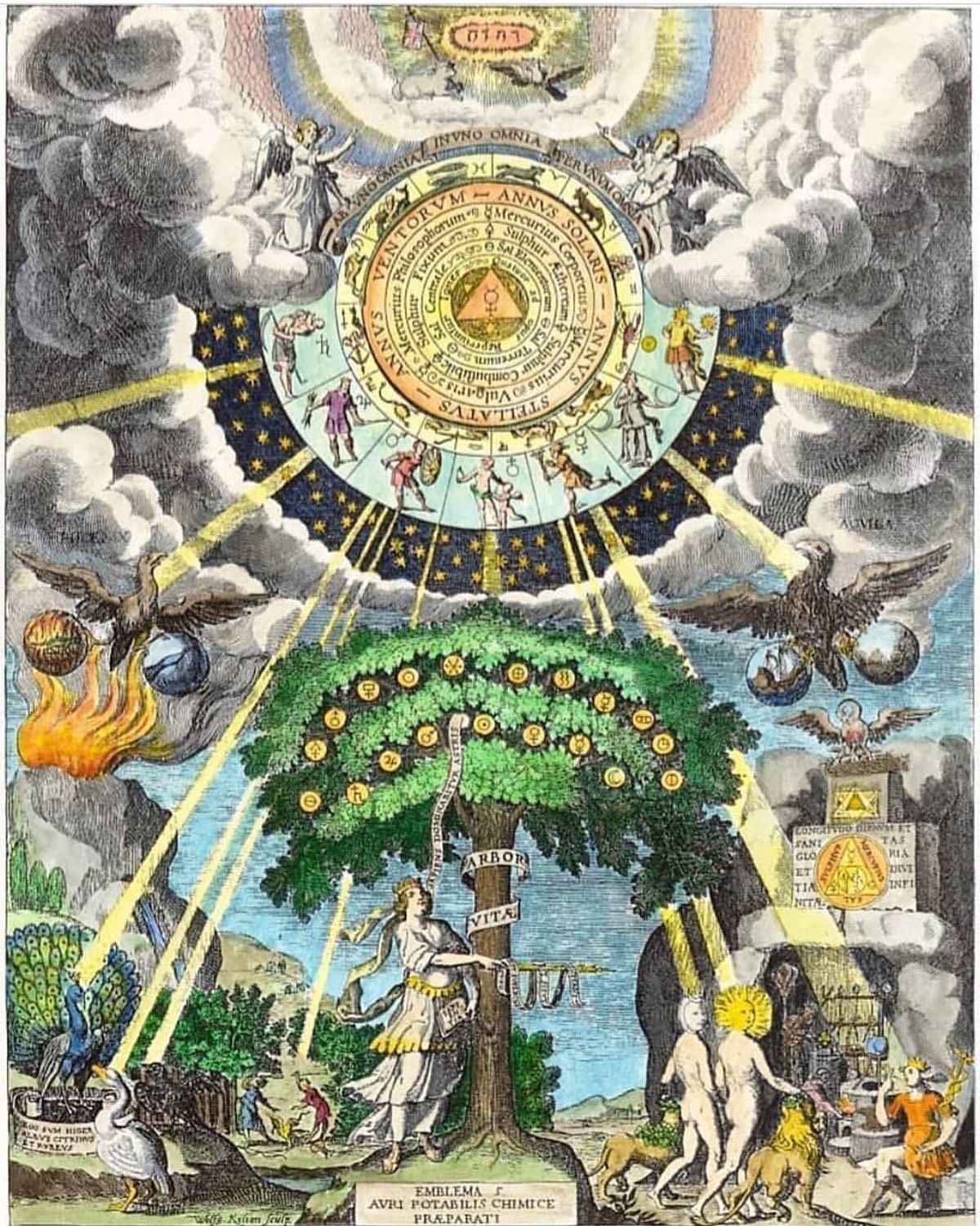 ✨Caminar este camino de estrellas es sentir el pulso de la Naturaleza✨
En el corazón de la tradición alquímica, el Magnum Opus es el viaje de la transformación: un arte ancestral que convierte lo denso en luminoso, los fragmentos del alma en totalidad.
Los planetas y luminares están presentes en sus manuscritos, ya que su sabiduría es reconocida como energía viva que resuena en nuestro interior. Cada planeta o luminar representa una parte única de nuestro despertar y evolución, así como, en la Gran Obra alquímica, encarnan una fuerza dentro de nosotros que se agita, moldea y refina a medida que expandimos la conciencia.
Los momentos que te desafían, los patrones que superas, y ese silencio que finalmente dejas de evitar, son los impulsos que tomas de su fuerza.
“Nosotros, los seres orgánicos que nos llamamos seres humanos, estamos hechos de la misma materia que las estrellas” - Harlow Shapley, astrónomo.
#estrellas #alquimia #astrología #planetas #luminares #venusstarpoint #esoterismo #alquimista #trabajointerior #frecuenciamistica #ocultismo