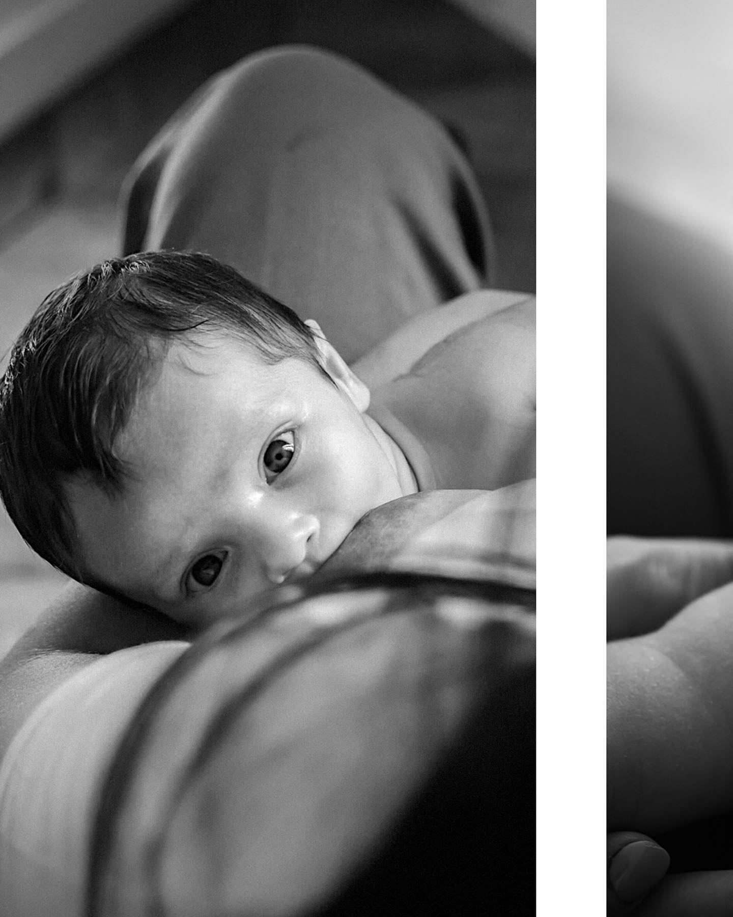 Le regard déjà si captivant de ce tout petit bébé 🤍
Merci à vous K&E pour votre confiance pour cette merveilleuse séance famille à vos côtés 💛
.
.
.
Séance famille Lyon | Photographe famille Lyon, Ecully, Monts d’or