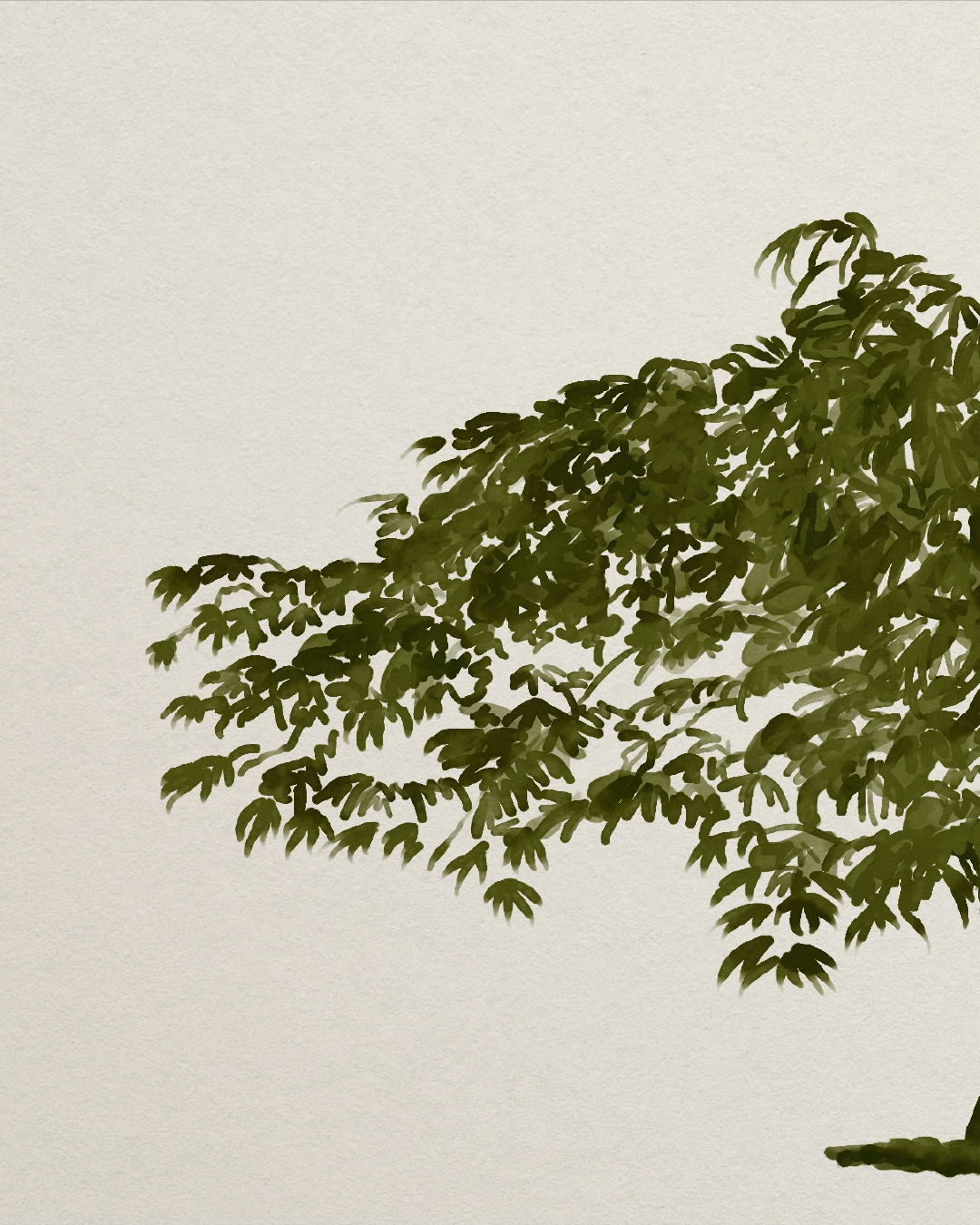 ON MY DESK | Some lovely watercolor work!
It’s been awhile since I’ve done watercolor work in Procreate, but this custom Japanese maple tree turned out so well. I initially had the trunk even more off-center, but my client and I thought centering the trunk while leaving the foliage asymmetrical would best balance with the rest of the logo.
This project also came with a bunch of fantastic colors, but this deep warm green was my favorite!
.
.
.
Created in @procreate & @adobe Illustrator.
#mugglehugstudio #digitalwatercolor #watercolorpaint #watercolorlogo #creativeinspiration #graphicdesign #graphicdesignersclub #discoverunder2k #inspofinds #brandingideas #brandinginspo #brandinspo #branddesign #branddesigner #creativeladydirectory #digitaldesign #magicaldesign #midwestartists #designinspiration #creativecontent #smallcreatives #logodesign #welovebranding #visualidentity #pursuepretty #creativedaily