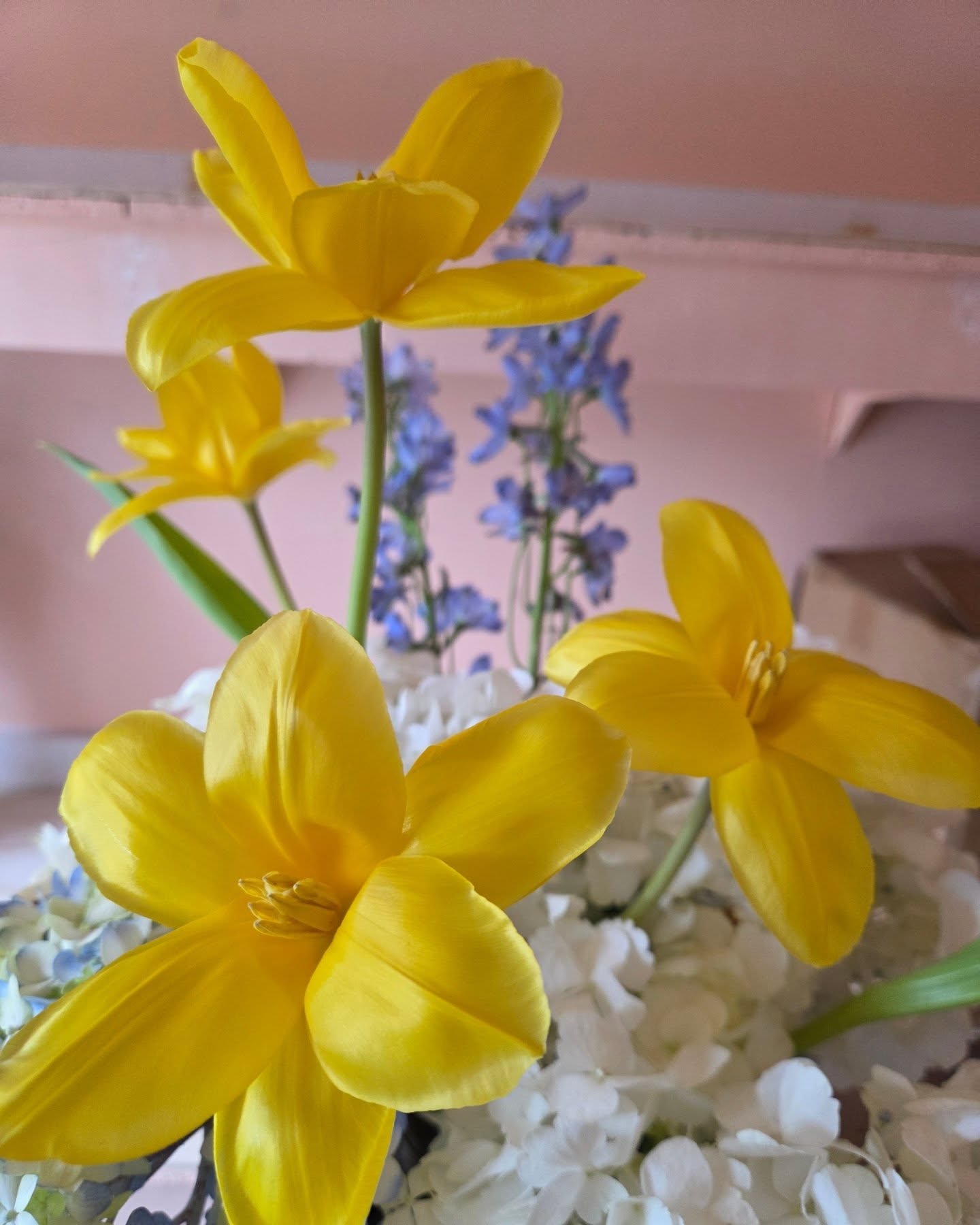 One thing about spring.. we're gonna be playing with Tulips.
So excited for wedding season to start next month! We are putting finishing touches on the new workspace and can't wait to fill it with flowers 💛