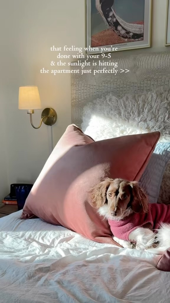 The sun is sunning! Nothing beats golden hour after work!
#sunshine #sunset #nyc #smallapartment #nycapartment #dogsunbathing #dogsunshine #dogsunning #sunnyday #spring #creatorsearchinsights #nycsunset #goldenhour #sunny #dogsoftiktok #dacshundsoftiktok