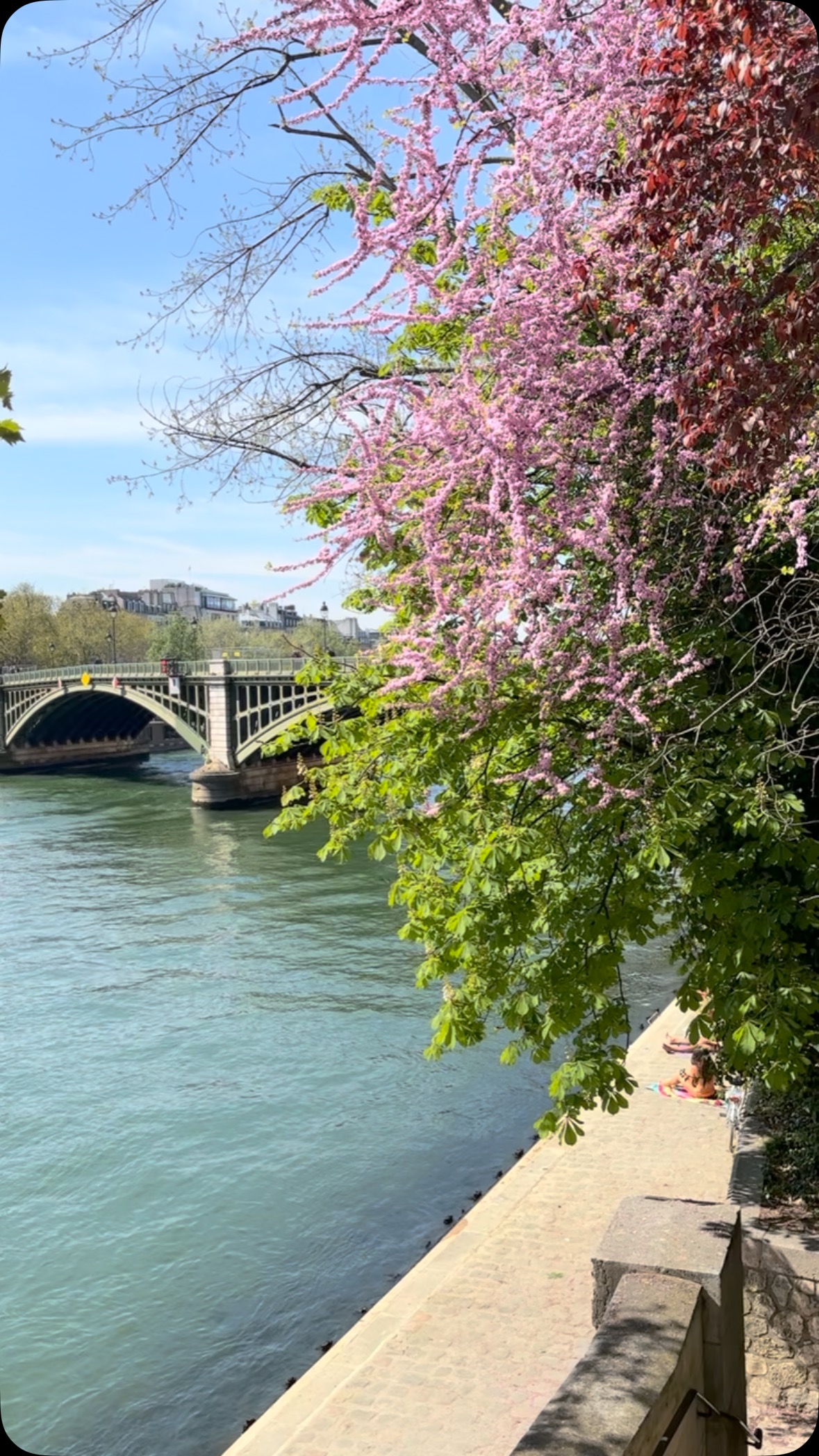 Blink and you’ll miss it… 🌸 snaps from around Paris from the past few weeks while I’ve been out enjoying this hard-earned sun ☀️ (am I imagining it when I say this is the sunniest and warmest April I can remember in ages???)
#spring #springtimeinparis #paris #tourguide #paristourguide #parisjetaime #parismaville #parisguide #paristourisme #parisisalwaysagoodidea