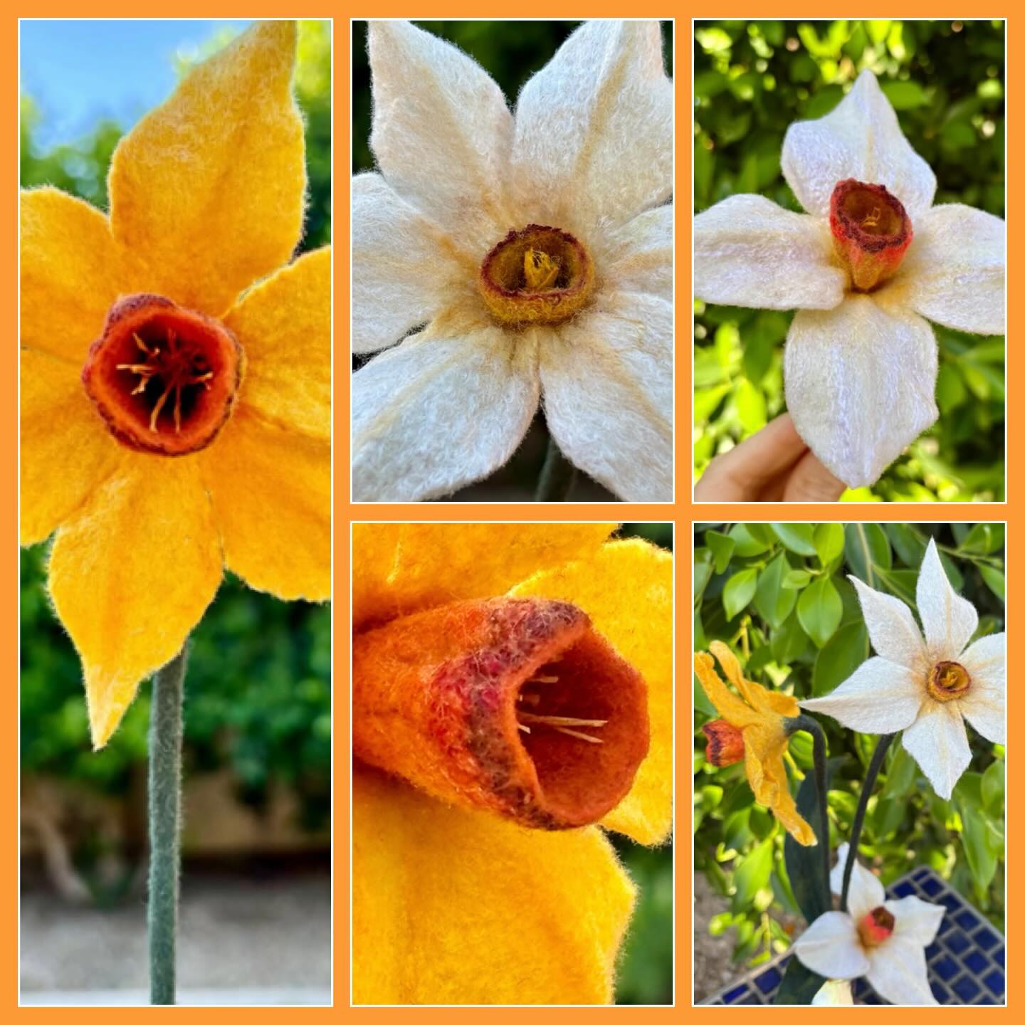 Delightful Daffodils! By @memorybradleyart
Daffodils are one of the first Spring flowers to bloom, signifying the end to cold, dark days. They are resilient, often popping up through the snow and demonstrate hope!