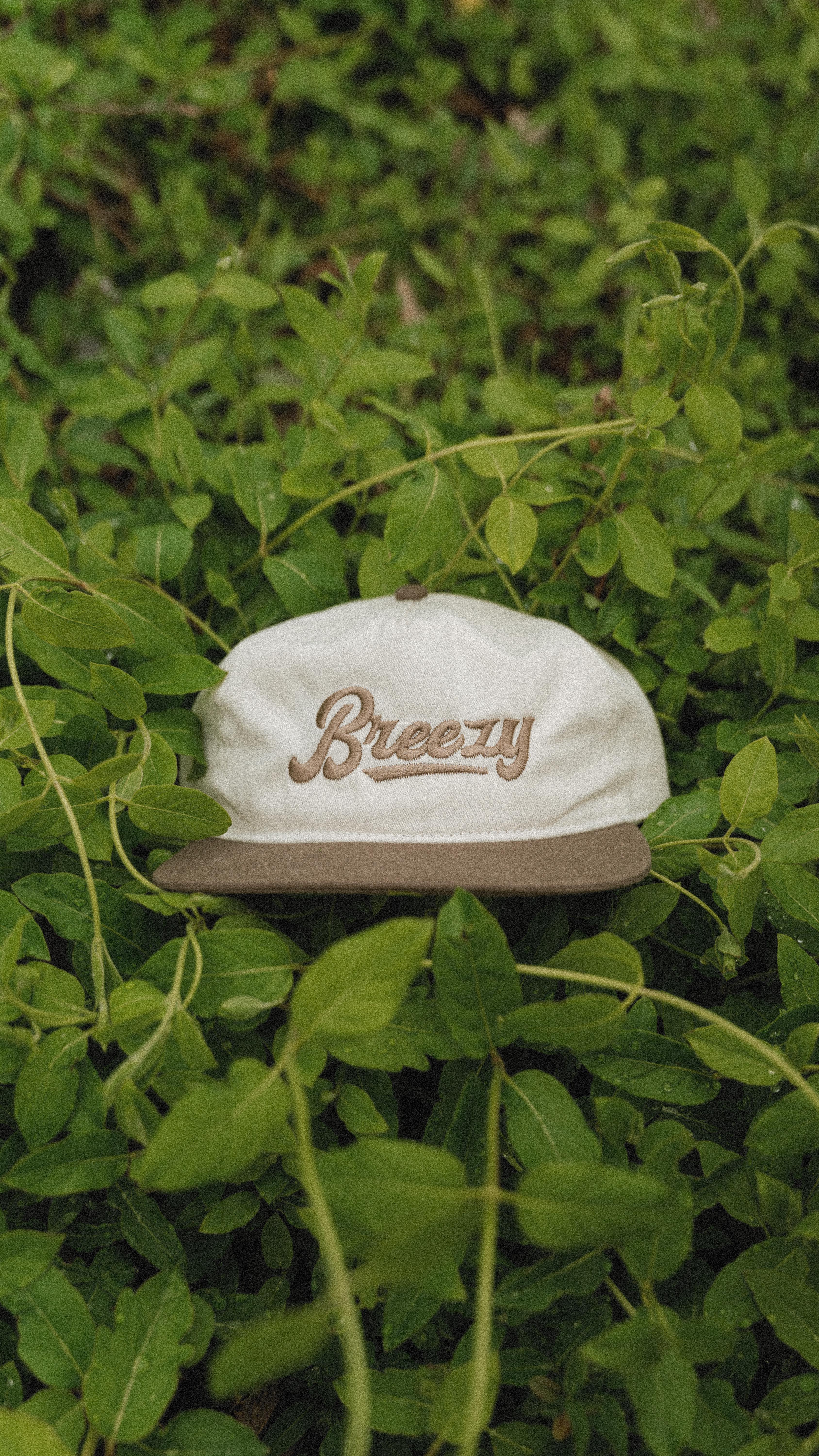 Walking on a dream. And paying taxes of course.
#arkansas#arkansasliving#pestcontrol#pestcontrolservice#breezypestcontrol#breezy#arkansasonly