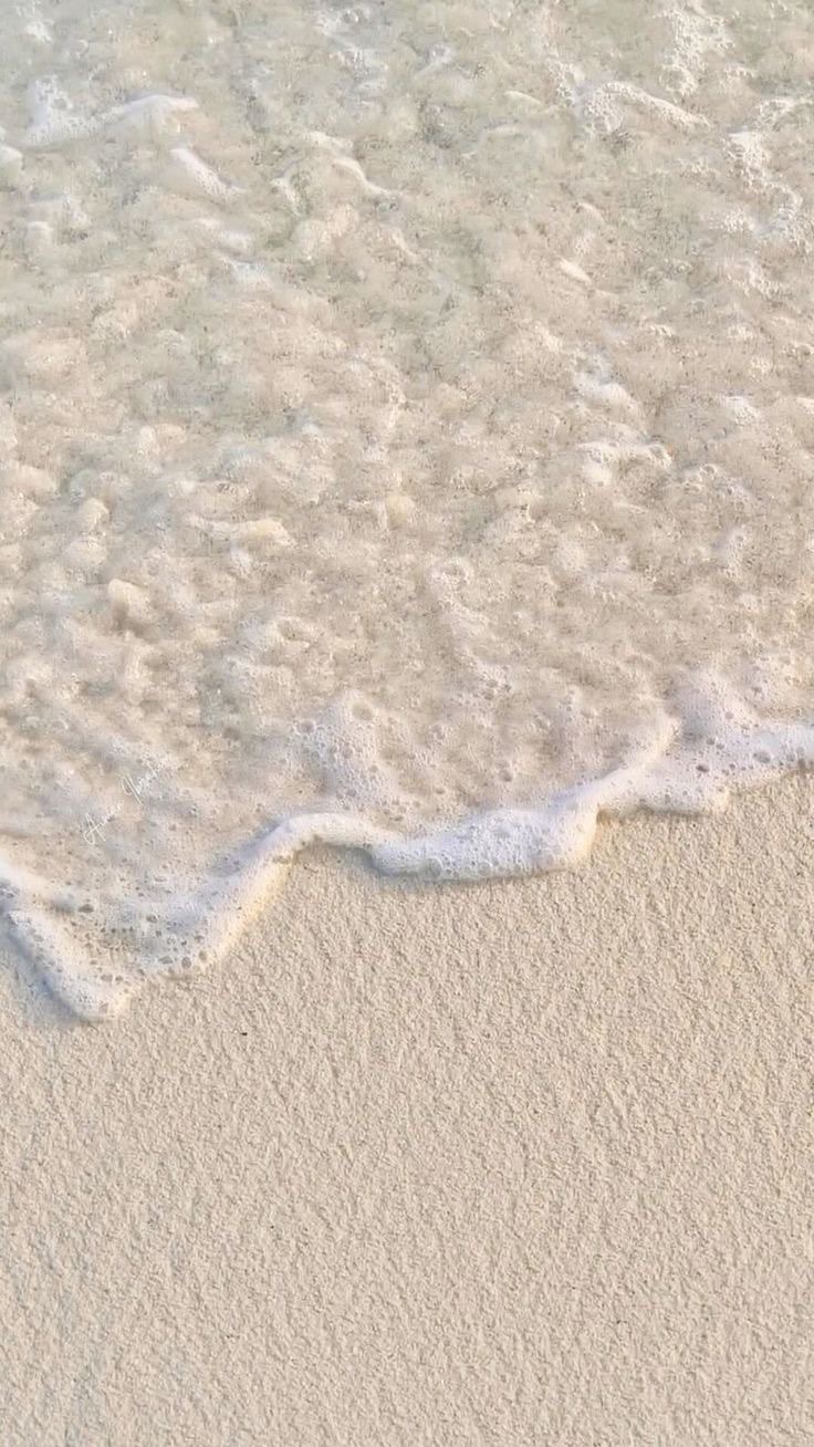 Brows on beautiful @workoutsbynegin ✨
#browartist #browlamination #browlift #fluffybrows #browstylist #browgoals #perfectbrows #browtransformation #browwax #browmapping #beautysalon #beforeandafter #amstelveen #amsterdam