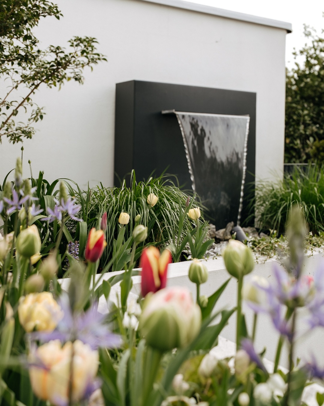 FRÜHLING ❤️ Was jetzt bei mir blüht 🥹
Swiped durch den Post für alle Infos!
#ganzjährigespflanzkonzept #frühblüher #stauden #blumenzwiebeln #frühlingsbeet #pflanzplanung #gartenideen #gartentipps #mygarden #gartenträume #gartenpläne #pflanzenliebe