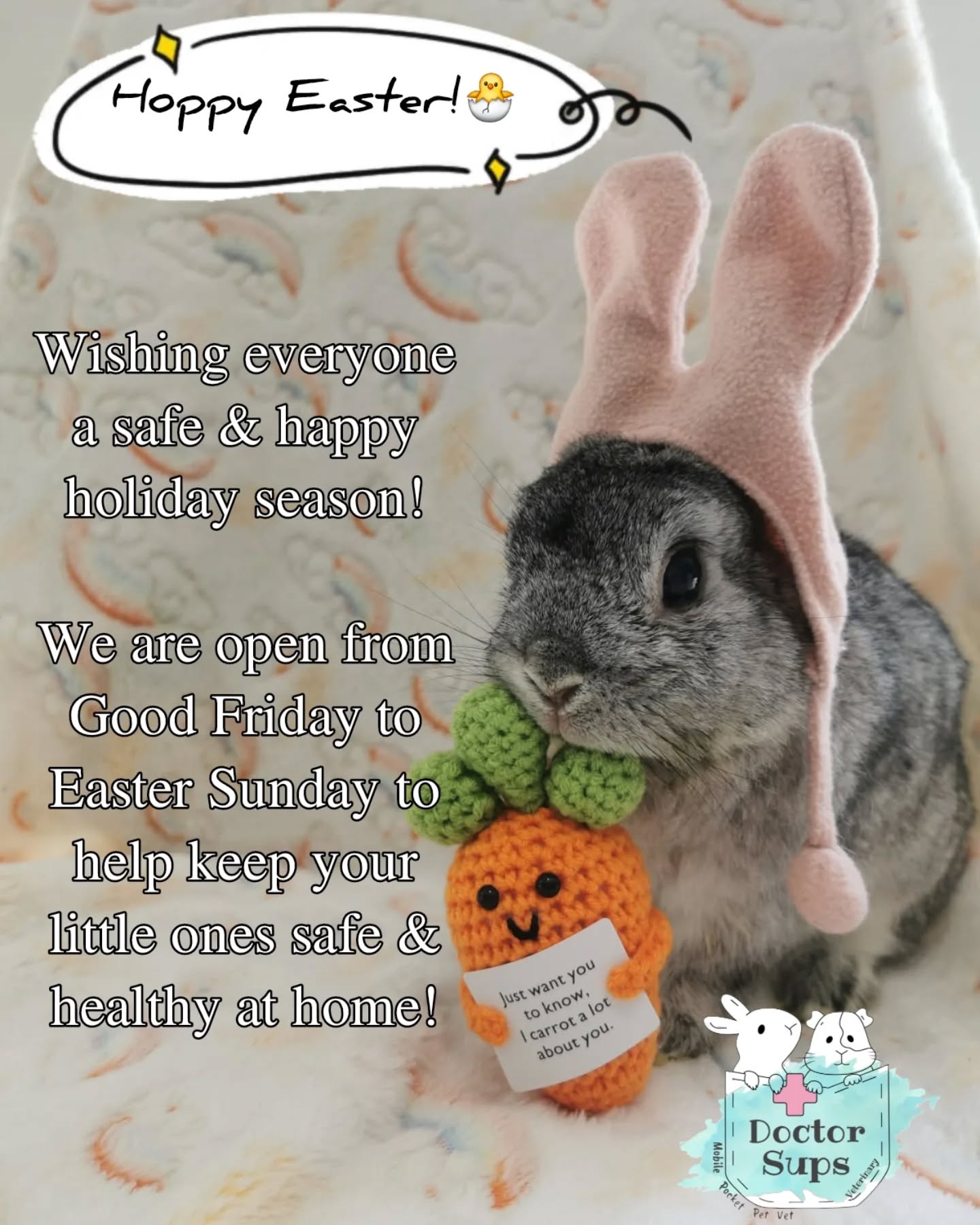 Hello! It's me, TeddyBun - Dr Sups' 10.5 years-young little bunny.
I'm just hopping by to wish everyone a safe and hoppy Easter! 🐣🌸
Dr Sups Veterinary will be open over the Easter holidays, from Good Friday to Easter Sunday, to keep your little furry ones 🐰🐹🐭 (and maybe your chocolates too) safe and healthy!
With love,
TeddyBun 🐨
#doctorsupsveterinary #doctorsups #pocketpetvet #rabbitcare #guineapigcare #ratcare #mousecare