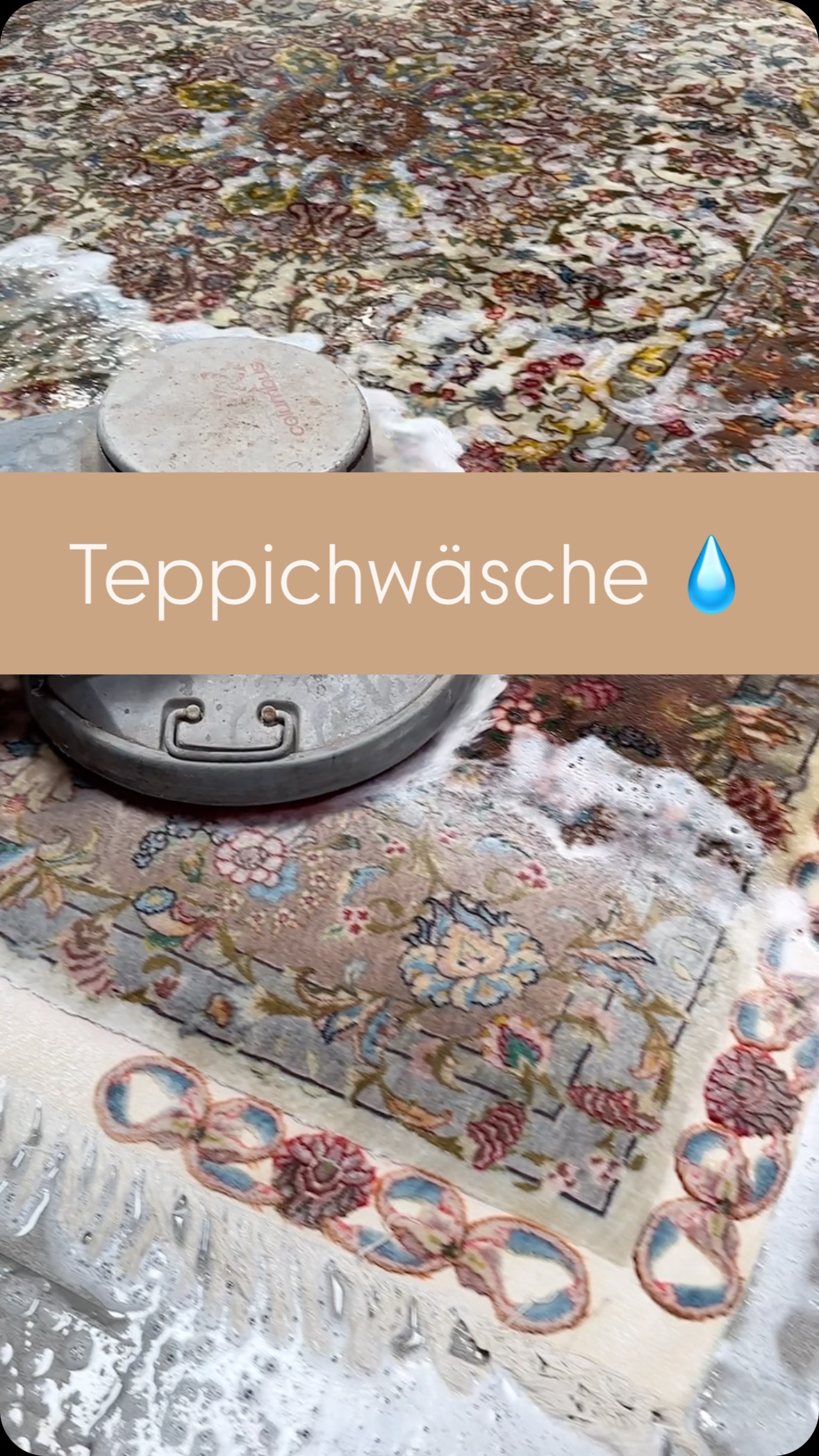 Teppichwäsche vom Fachmann 💧
Unsere Vollwäsche ist für jeden Wollteppich geeignet und bietet durch das Imprägnieren einen Schutz vor zukünftigem Schmutz. Jeder Teppich wird dabei individuell behandelt.
Kontaktieren Sie uns jetzt für ein kostenloses Angebot. Benötigt wird nur das Maß von dem Teppich.
#Teppichwäsche #Teppichreinigung #Sauberkeit #Hauspflege #Reinigungstipps #Teppichpflege #Teppich #Wohnungspflege #Reinigung
11. #Waschtag #Hygien #Fleckenentfernung #Wohnzimmer #Hausarbeit #Putztipps #ProfessionelleReinigung
#Teppichspezialist #reinigungsservice
