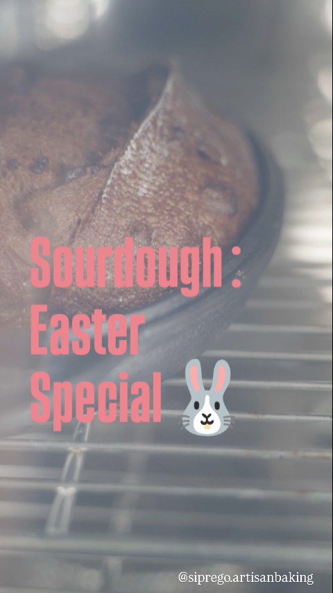 Loved, loved this workshop! Not to mention, DELISH!
Thanks to everyone who attended!
@jen.mccubbin
šø@o.kallion
#crumbshot #crumb #opencrumbmastery #sourdough
#sipregobreadworkshops #painaulevain #naturallyleavened #sourdoughbread #homemadebread #bread #realbread #sourdoughbread #sourdoughbaking #sourdoughclub #sourdoughlove #wholewheatsourdough #wholewheatbread #breadstagram #homebaker #homebakedbread #brisbanesourdough #crumbshot #glutenfreesourdough #glutenfreebrisbane #glutenfreesourdoughbrisbane #brisbanesourdoughclasses #howtomakesourdoughbrisbane #beginnerssourdoughbrisbane #baguettesclassbrisbane #brisbanebestsourdough