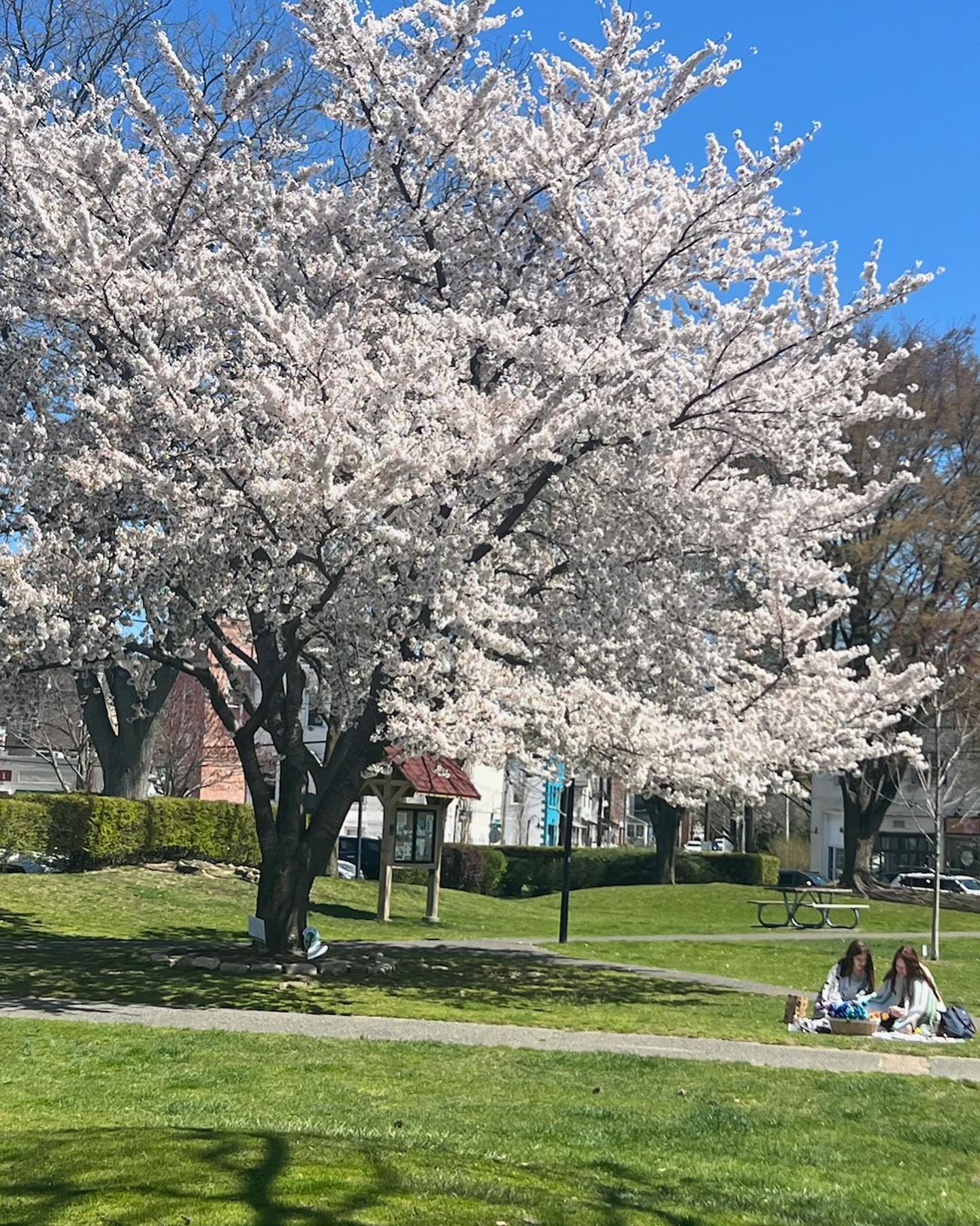 Thank you all for your support at Northport yesterday! We are so grateful for the opportunity to be able to support St. Jude’s 💜. Stay tuned for more Northport visits!