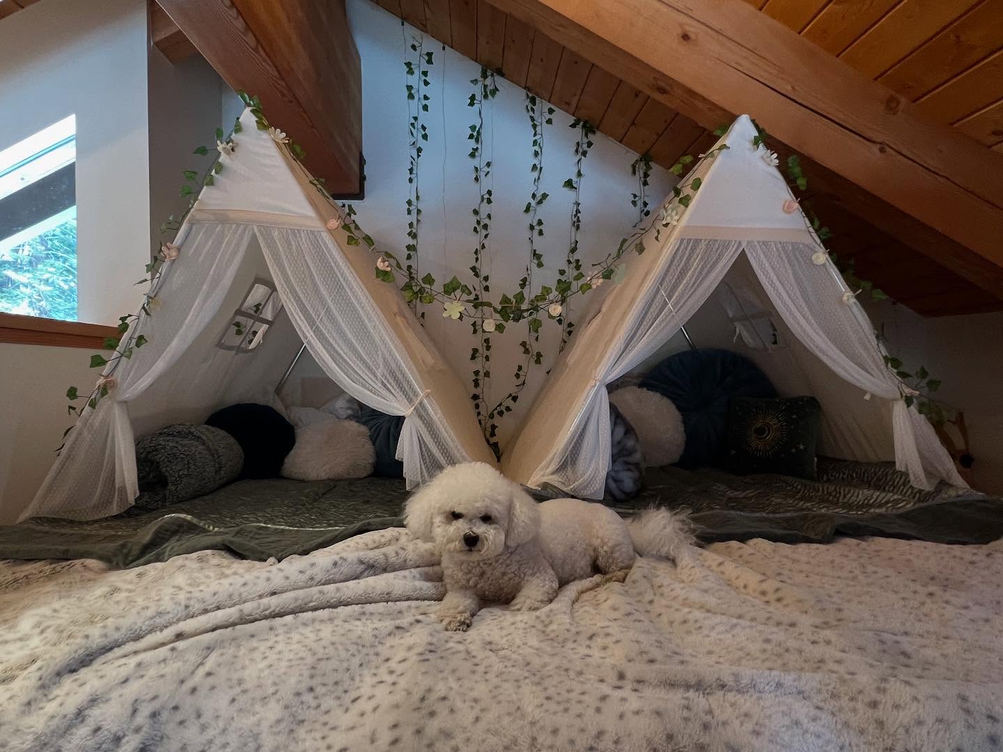 @pamuka.kids these were the ideal sleepover birthday tents - my aesthetically-minded twelve year old LOVED them. And paired with garland I made from @homeheartfelts, they were so sweet!! We loved them. ❤️